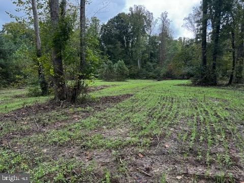 0 HARTS MILL RD, MINERAL, Virginia 23117, ,Land,0 HARTS MILL RD,VALA2009832 MLS # VALA2009832