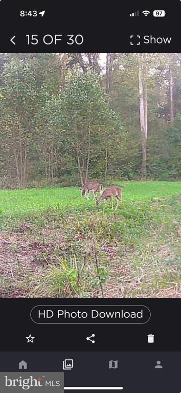 0 HARTS MILL RD, MINERAL, Virginia 23117, ,Land,0 HARTS MILL RD,VALA2009832 MLS # VALA2009832