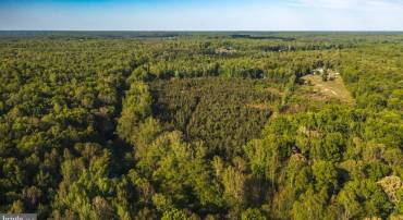 0 HARTS MILL RD, MINERAL, Virginia 23117, ,Land,0 HARTS MILL RD,VALA2009832 MLS # VALA2009832