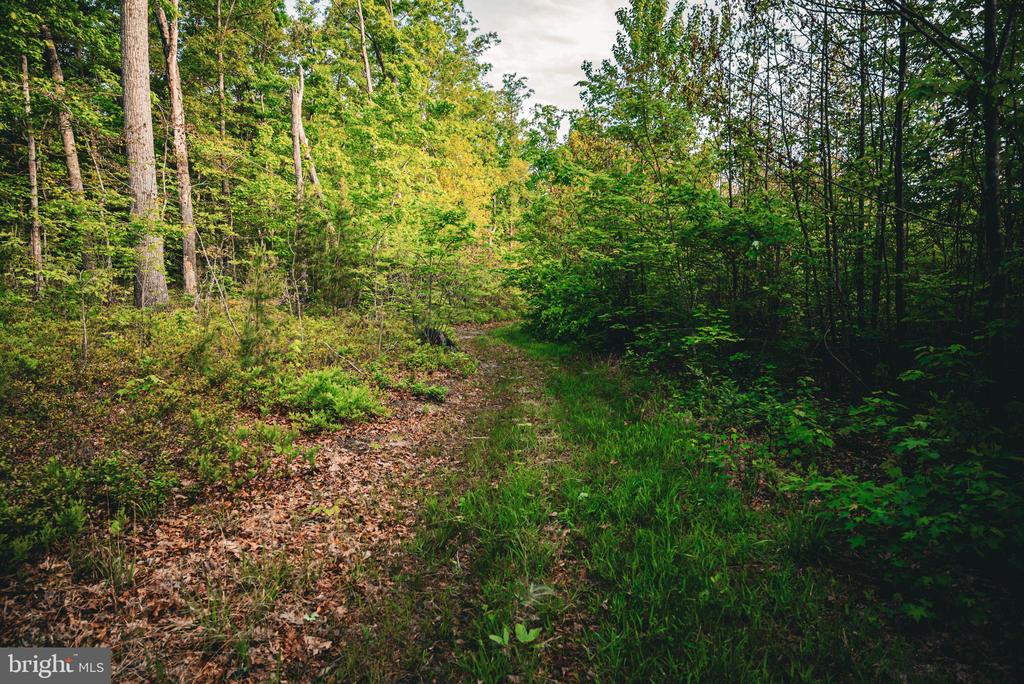 0 TABLE TOP ALLEY, LOUISA, Virginia 23093, ,Land,0 TABLE TOP ALLEY,VALA2009834 MLS # VALA2009834