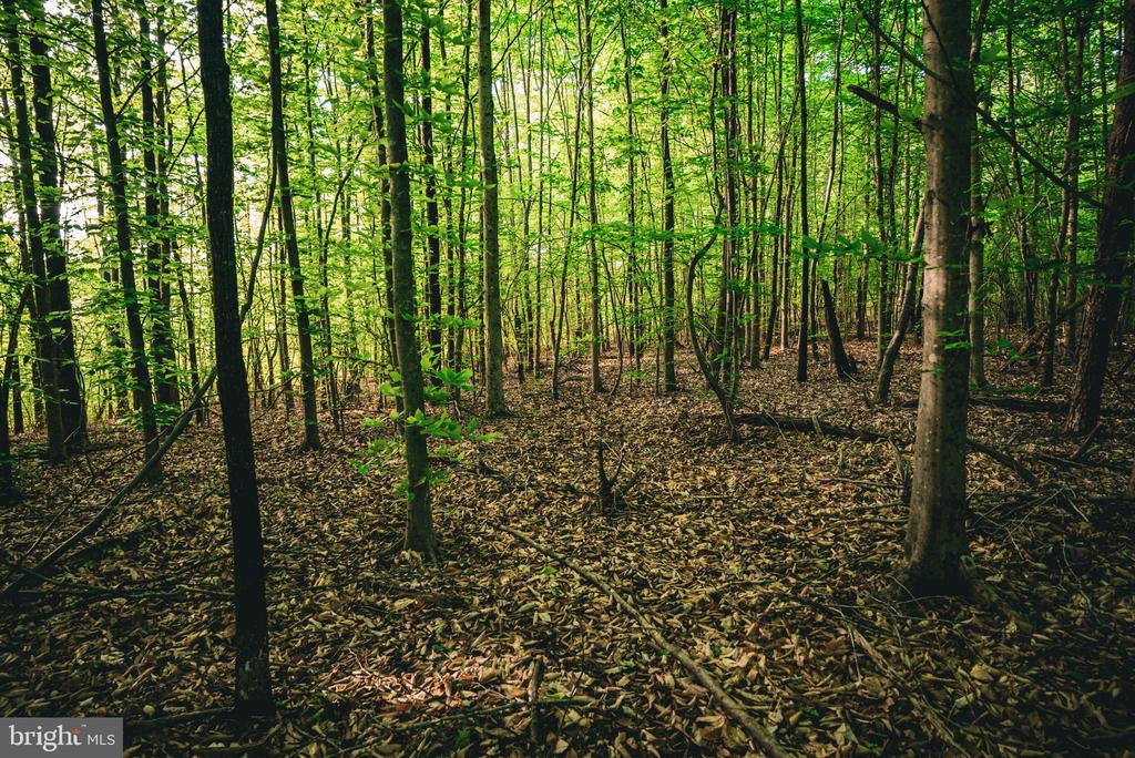 0 TABLE TOP ALLEY, LOUISA, Virginia 23093, ,Land,0 TABLE TOP ALLEY,VALA2009834 MLS # VALA2009834