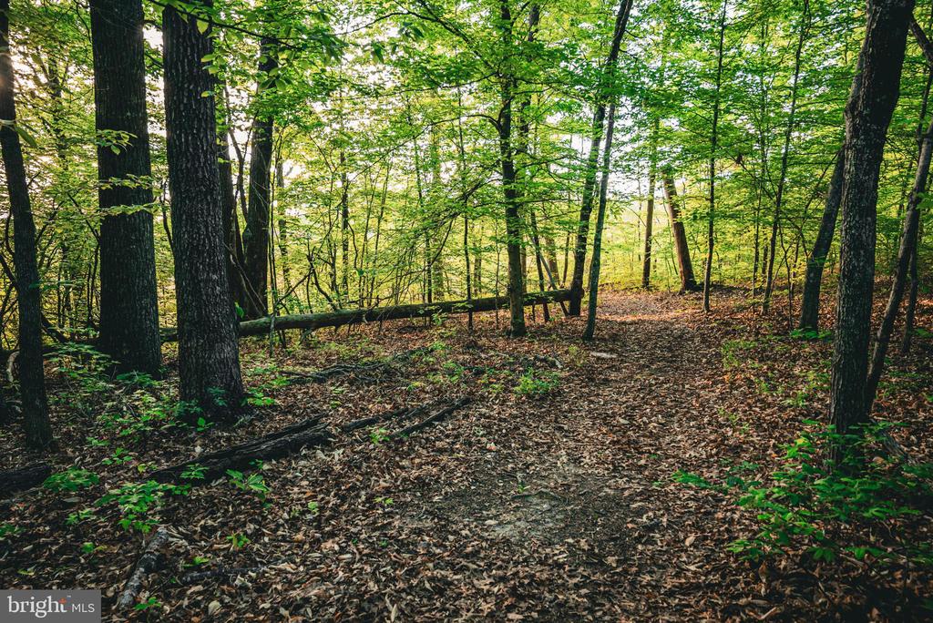 0 TABLE TOP ALLEY, LOUISA, Virginia 23093, ,Land,0 TABLE TOP ALLEY,VALA2009834 MLS # VALA2009834