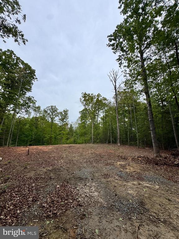465 EQUESTRIAN LANDING TRL, BUMPASS, Virginia 23024, ,Land,465 EQUESTRIAN LANDING TRL,VALA2009732 MLS # VALA2009732