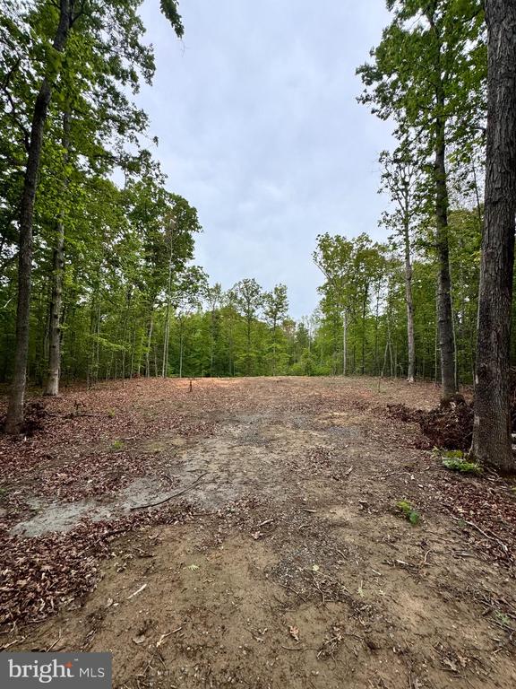465 EQUESTRIAN LANDING TRL, BUMPASS, Virginia 23024, ,Land,465 EQUESTRIAN LANDING TRL,VALA2009732 MLS # VALA2009732