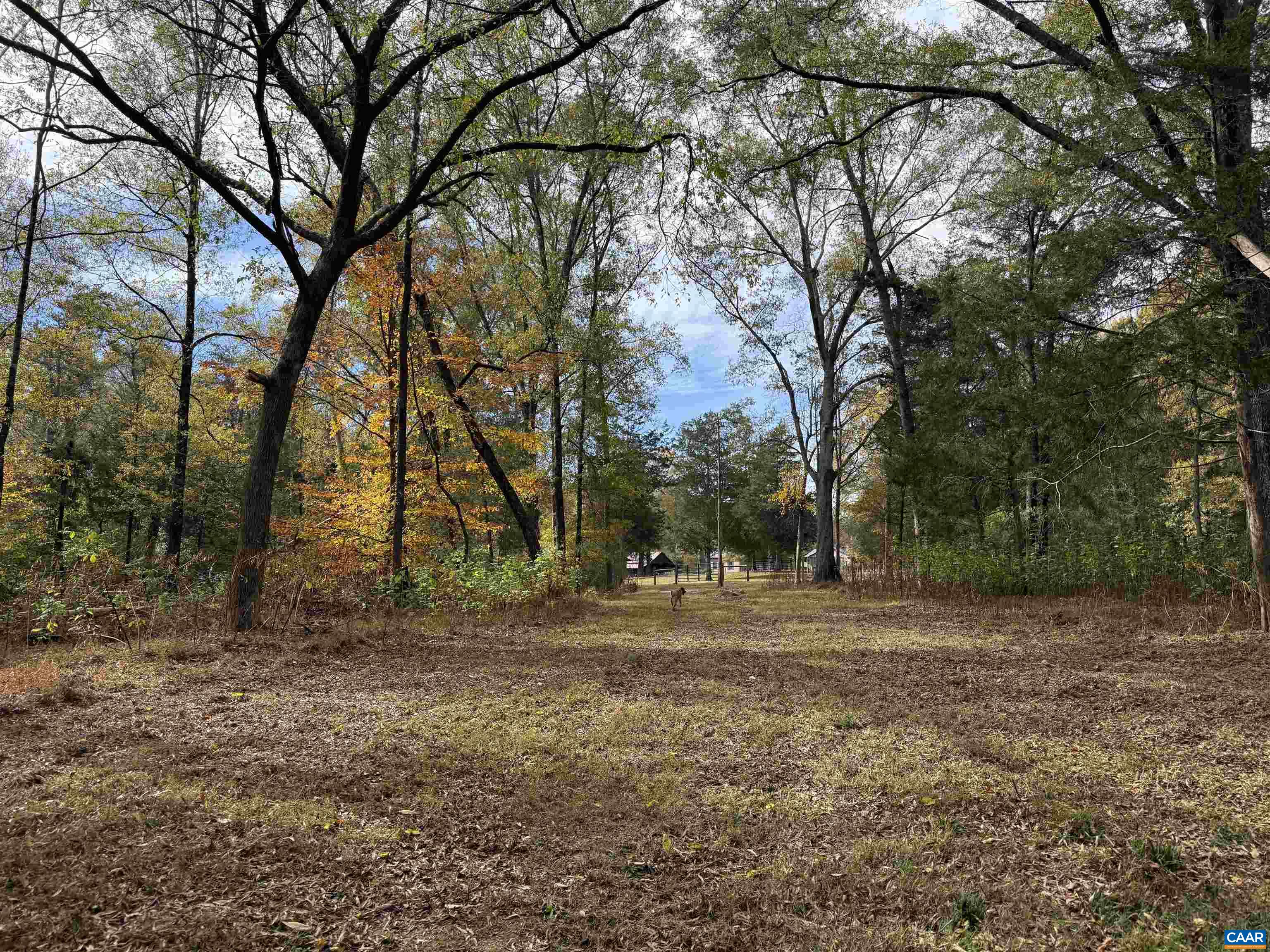 0 BRIDGEPORT RD, ARVONIA, Virginia 23004, ,Land,0 BRIDGEPORT RD,676804 MLS # 676804