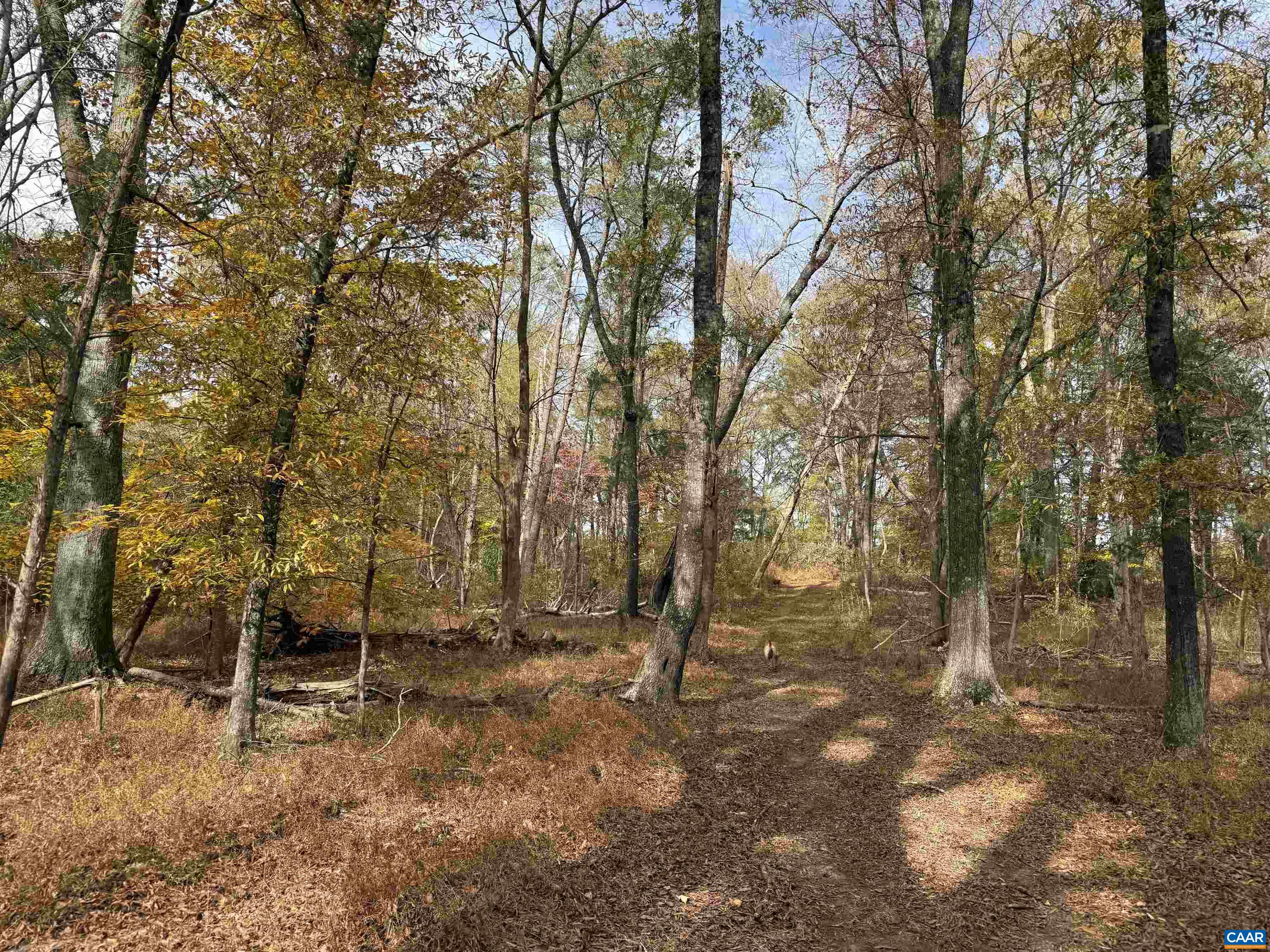 0 BRIDGEPORT RD, ARVONIA, Virginia 23004, ,Land,0 BRIDGEPORT RD,676804 MLS # 676804