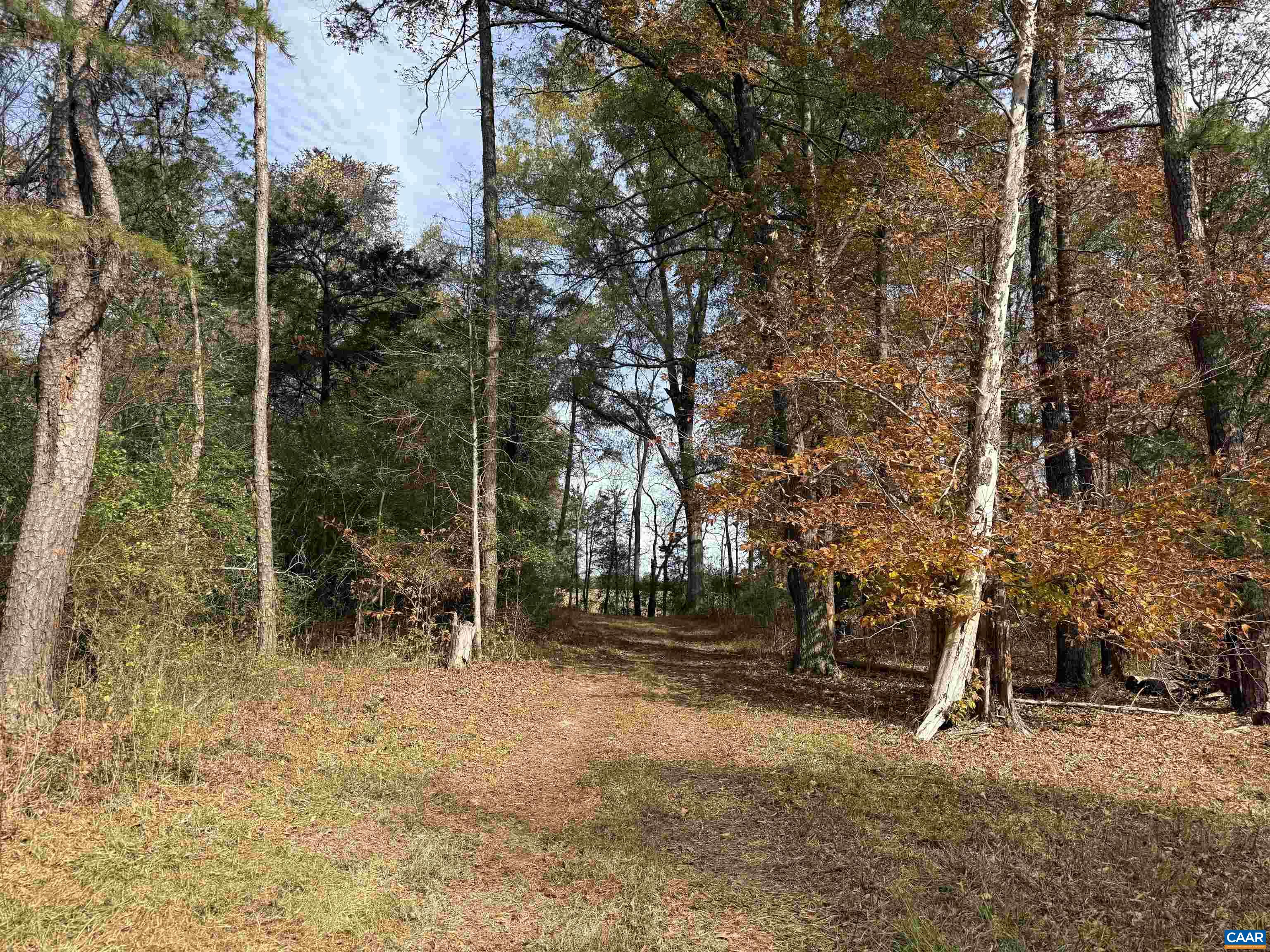 0 BRIDGEPORT RD, ARVONIA, Virginia 23004, ,Land,0 BRIDGEPORT RD,676804 MLS # 676804