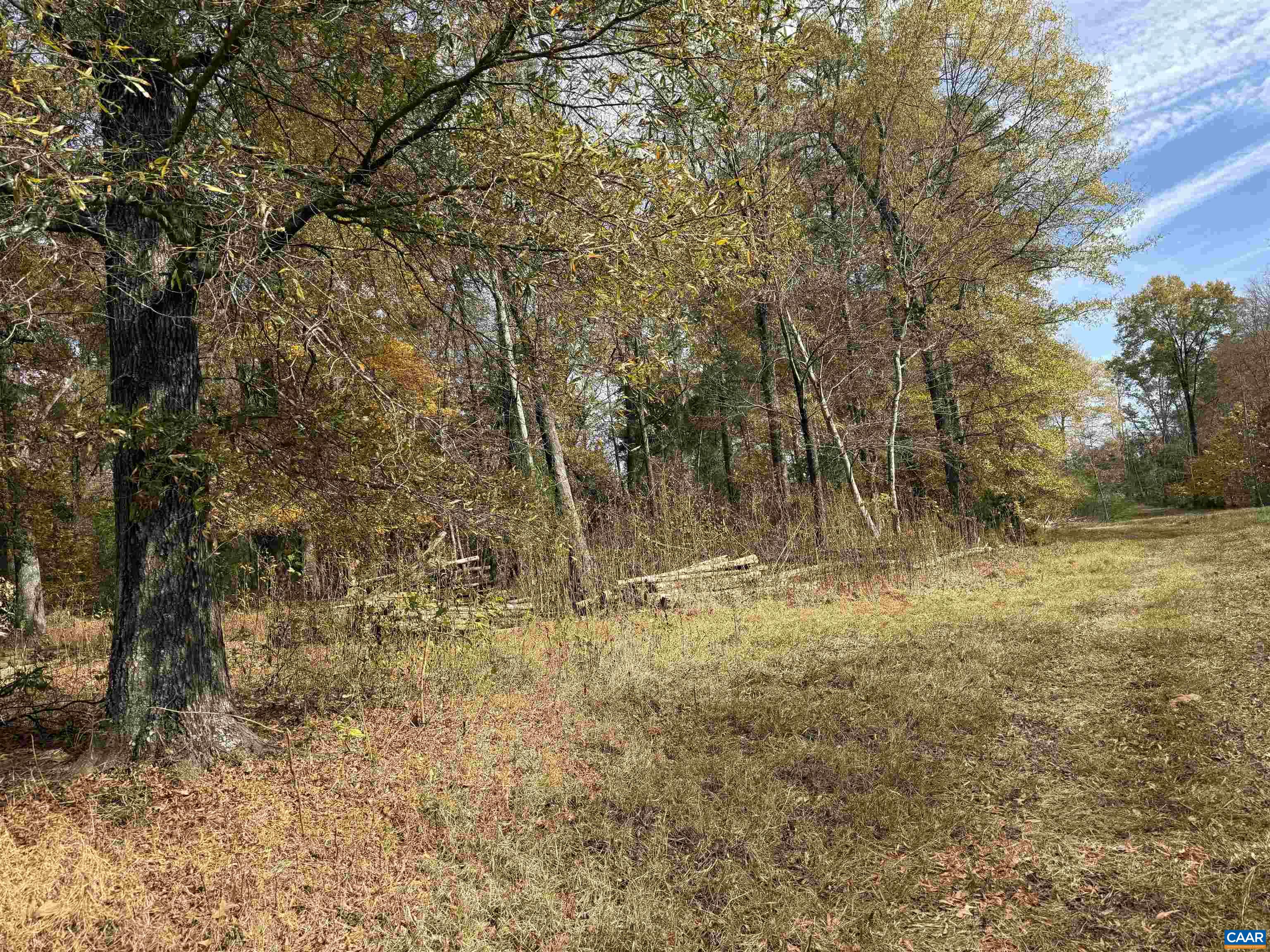 0 BRIDGEPORT RD, ARVONIA, Virginia 23004, ,Land,0 BRIDGEPORT RD,676804 MLS # 676804