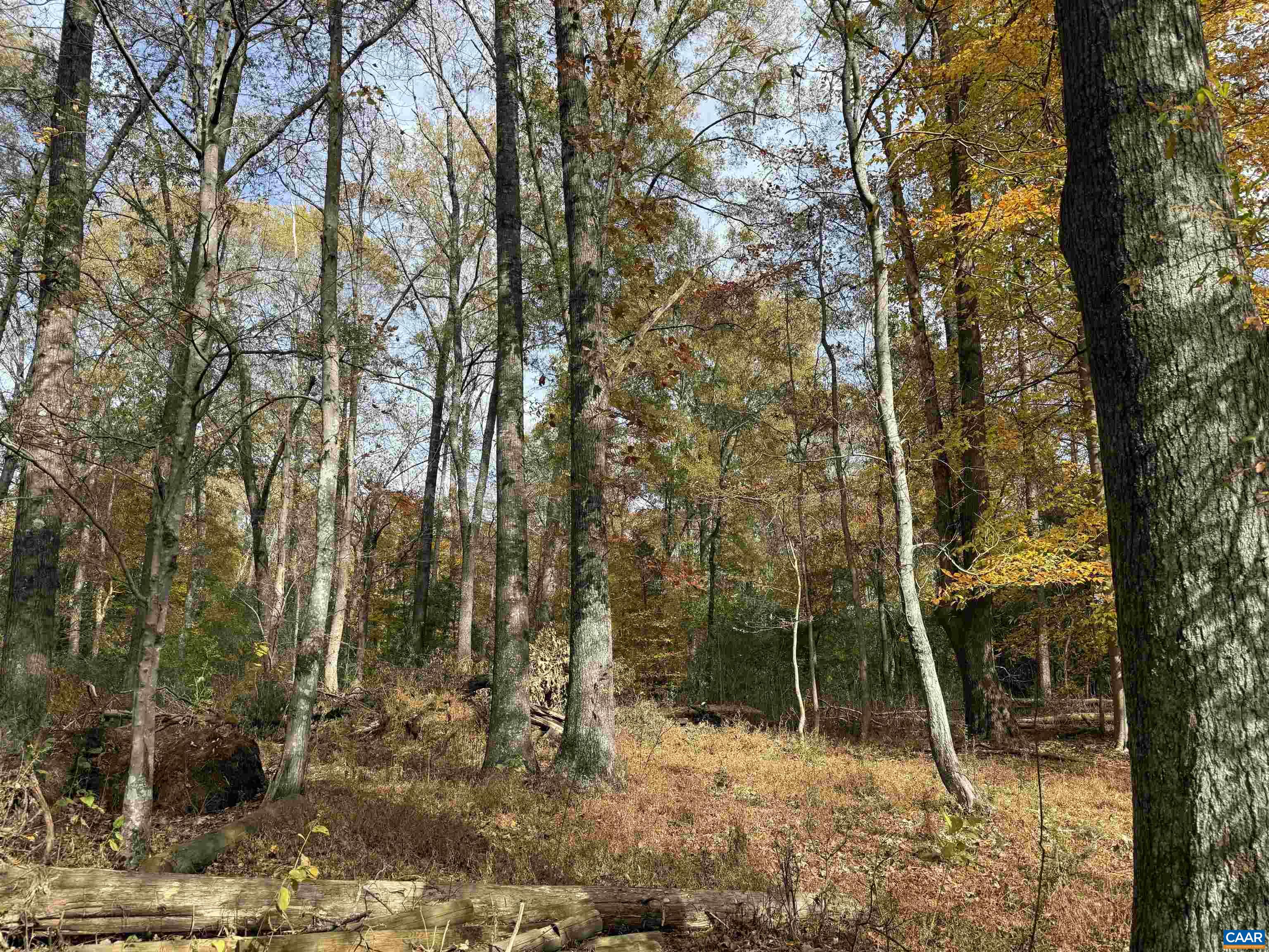 0 BRIDGEPORT RD, ARVONIA, Virginia 23004, ,Land,0 BRIDGEPORT RD,676804 MLS # 676804
