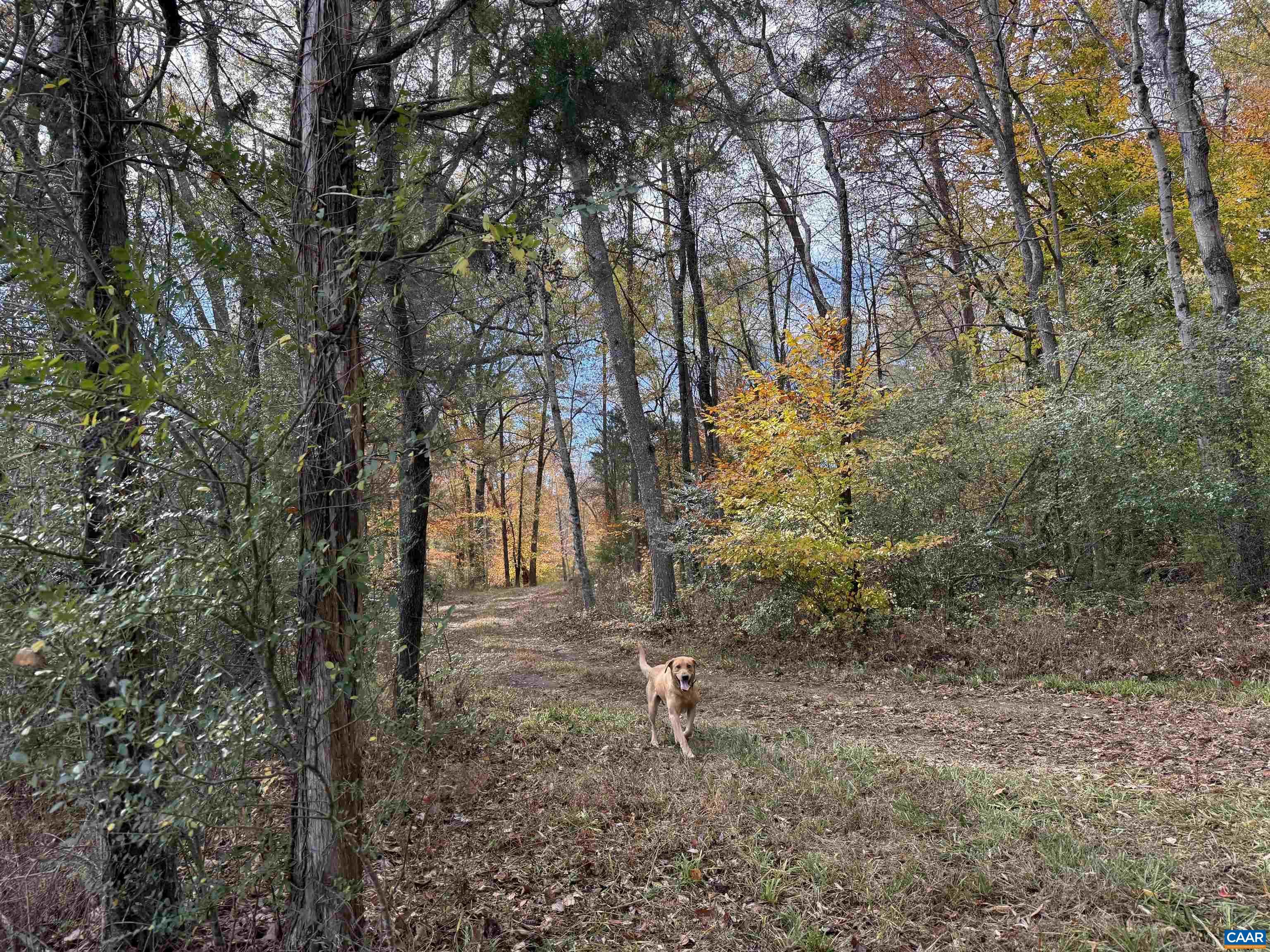 0 BRIDGEPORT RD, ARVONIA, Virginia 23004, ,Land,0 BRIDGEPORT RD,676804 MLS # 676804