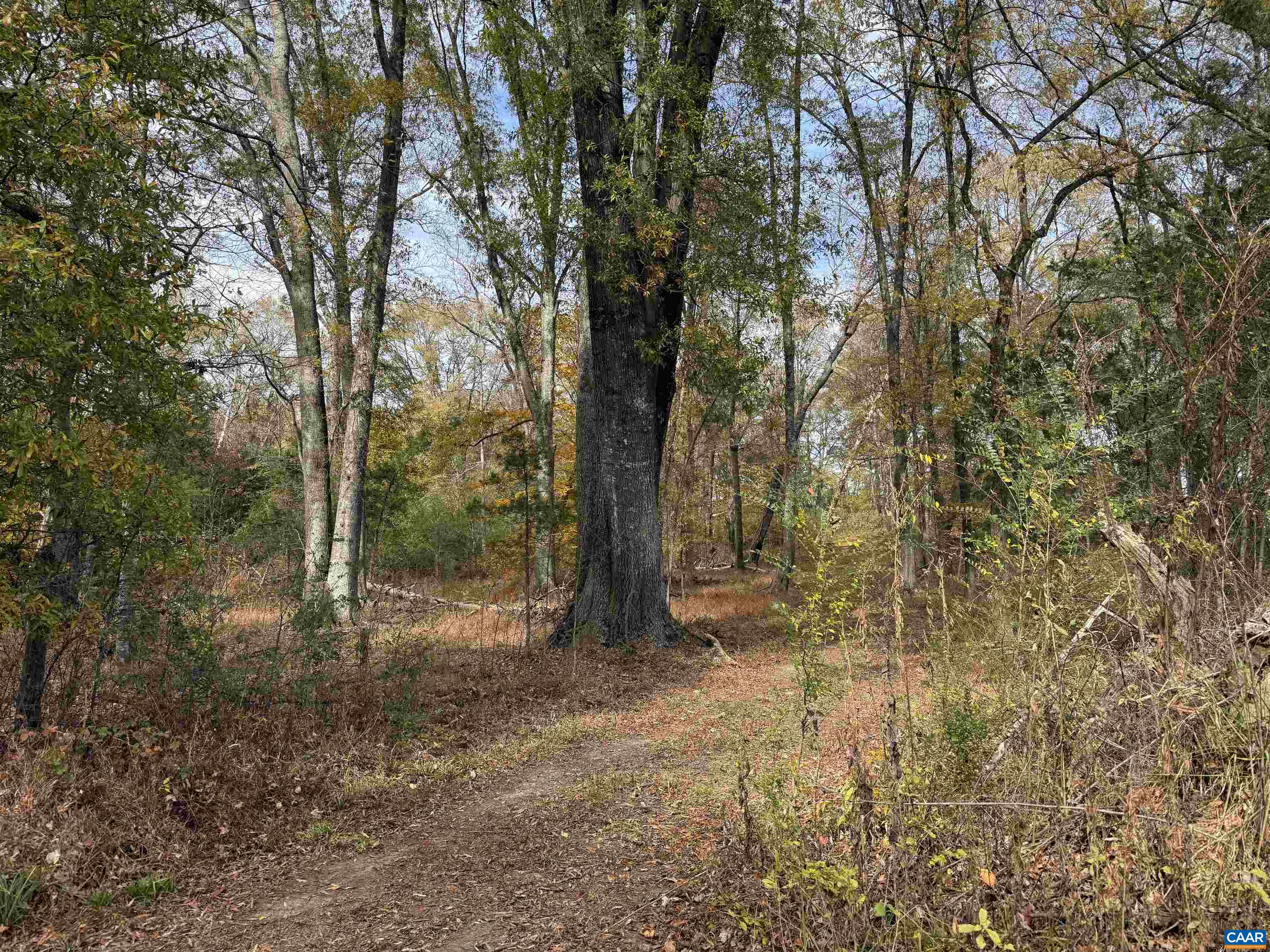 0 BRIDGEPORT RD, ARVONIA, Virginia 23004, ,Land,0 BRIDGEPORT RD,676804 MLS # 676804