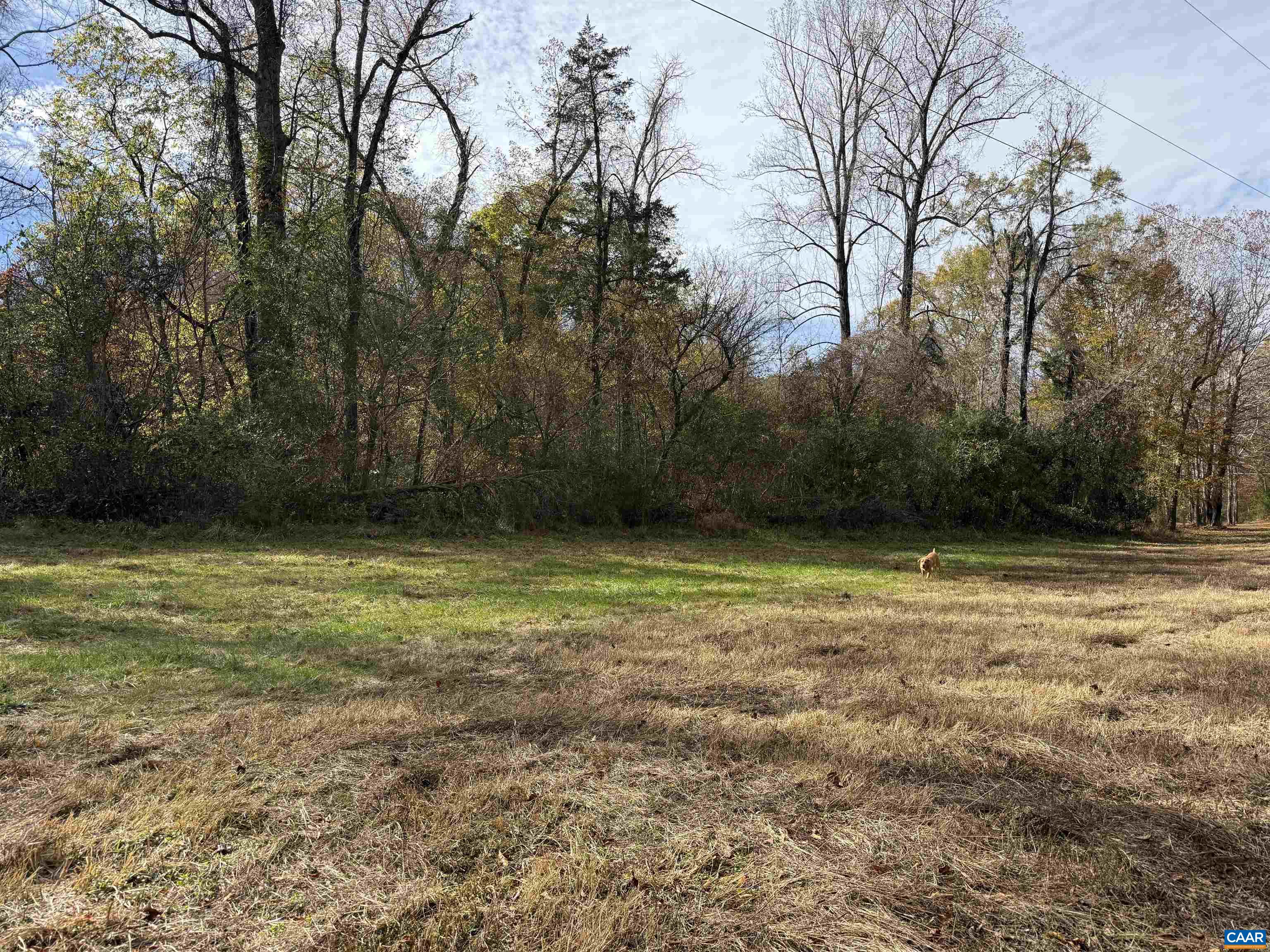 0 BRIDGEPORT RD, ARVONIA, Virginia 23004, ,Land,0 BRIDGEPORT RD,676804 MLS # 676804