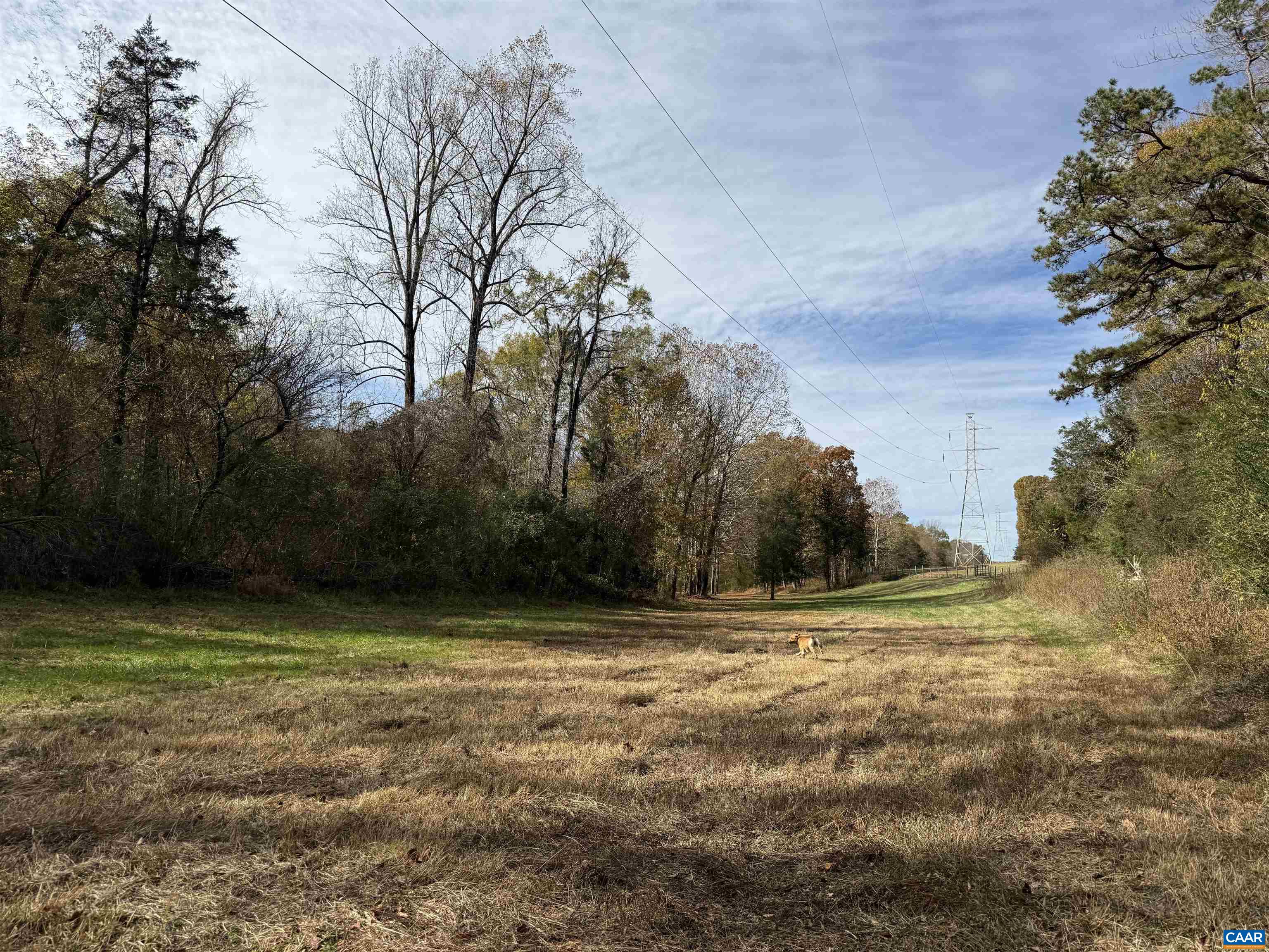 0 BRIDGEPORT RD, ARVONIA, Virginia 23004, ,Land,0 BRIDGEPORT RD,676804 MLS # 676804