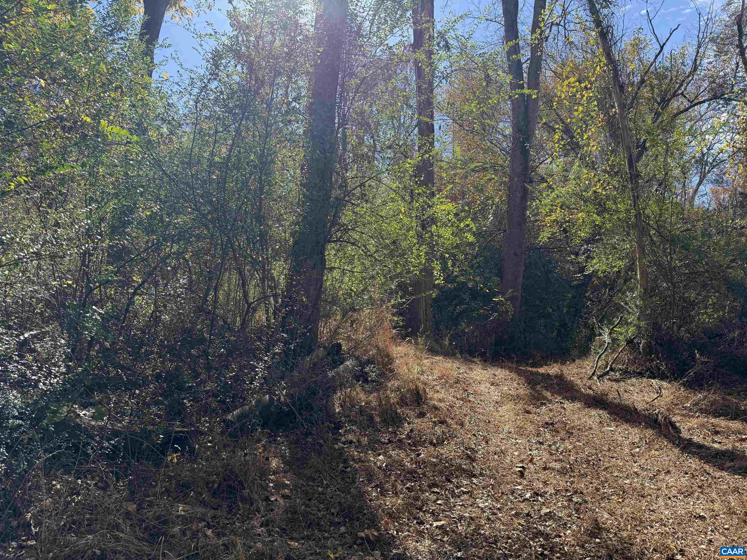 0 BRIDGEPORT RD, ARVONIA, Virginia 23004, ,Land,0 BRIDGEPORT RD,676804 MLS # 676804