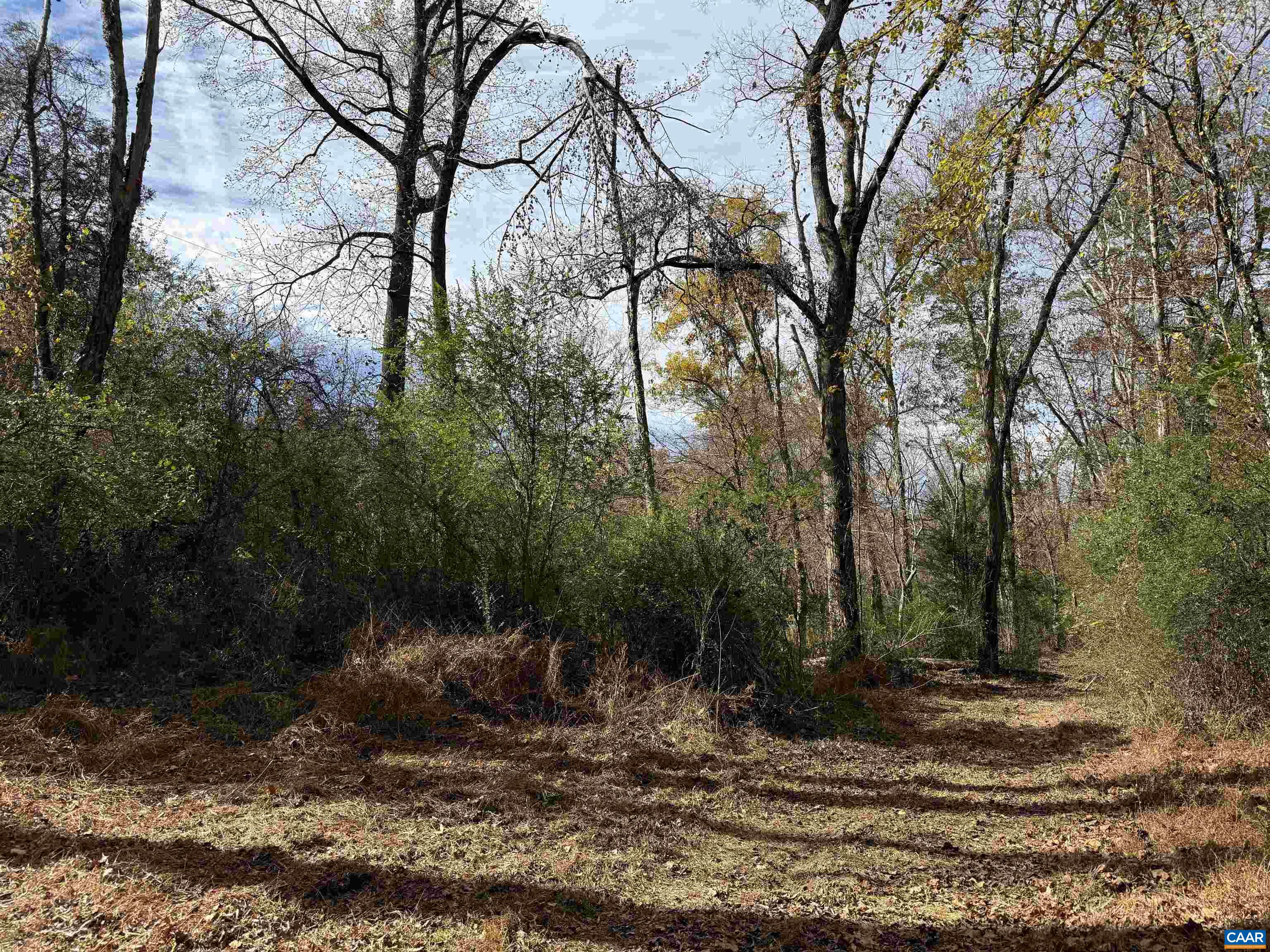 0 BRIDGEPORT RD, ARVONIA, Virginia 23004, ,Land,0 BRIDGEPORT RD,676804 MLS # 676804