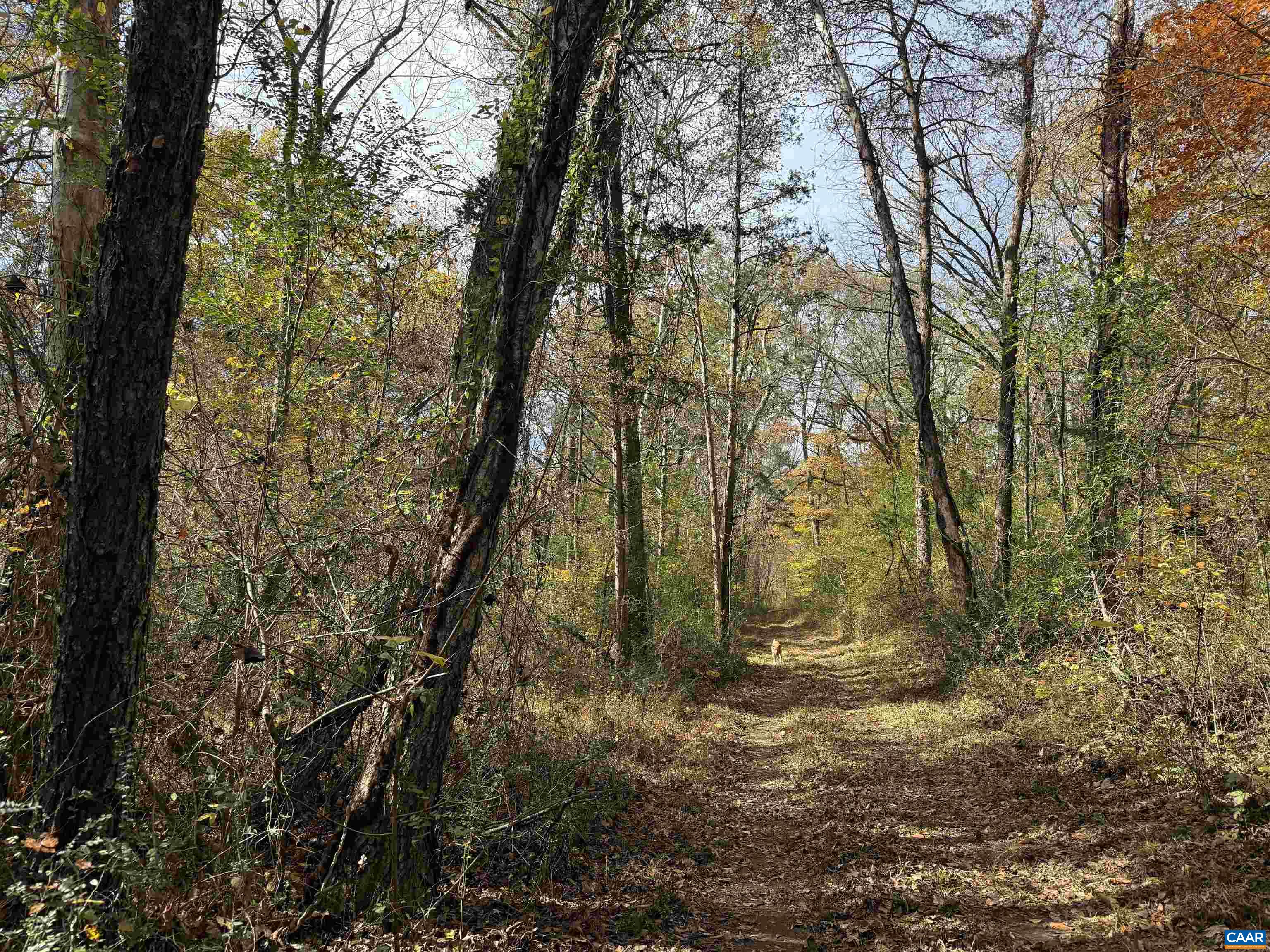 0 BRIDGEPORT RD, ARVONIA, Virginia 23004, ,Land,0 BRIDGEPORT RD,676804 MLS # 676804