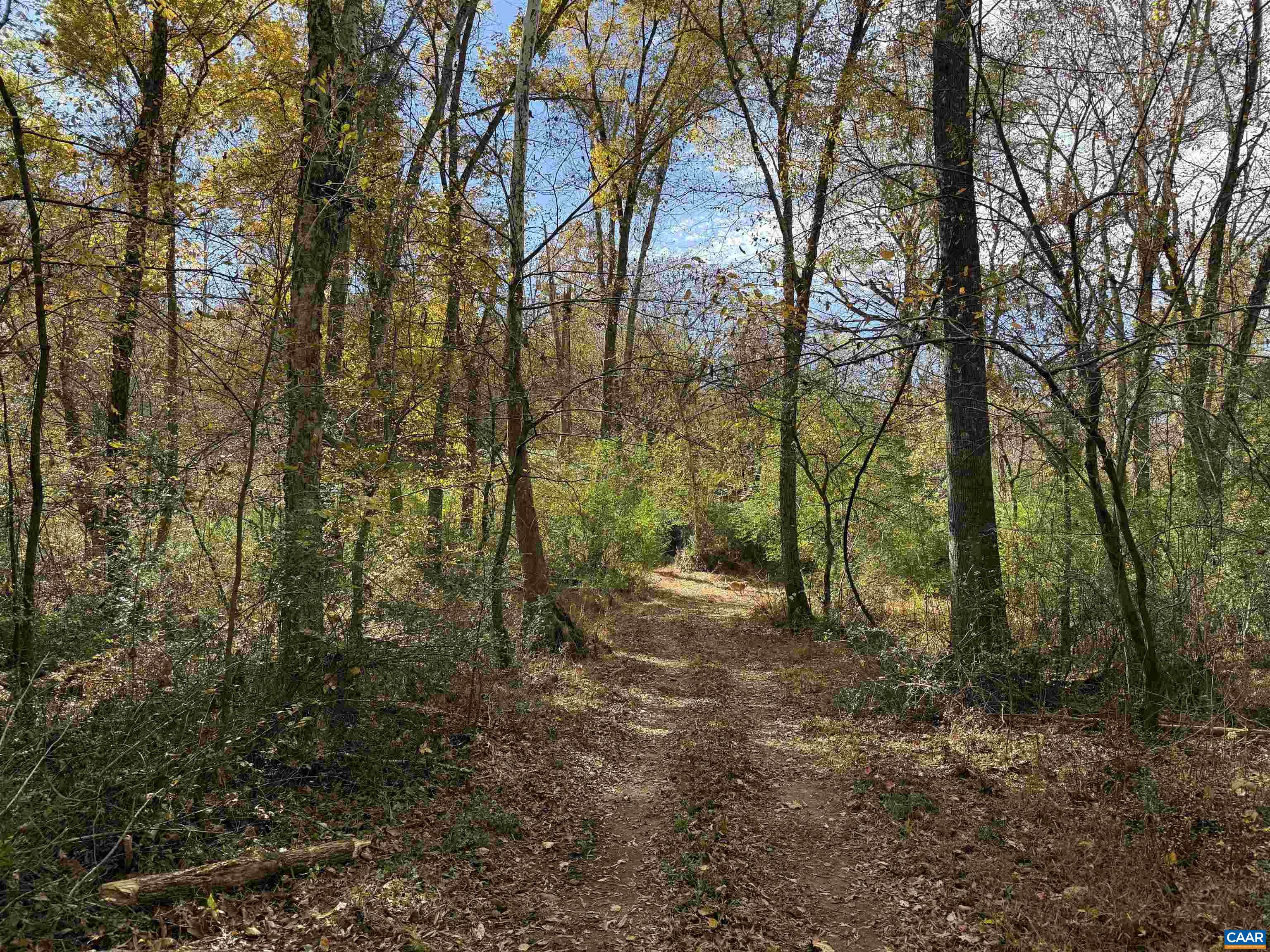 0 BRIDGEPORT RD, ARVONIA, Virginia 23004, ,Land,0 BRIDGEPORT RD,676804 MLS # 676804