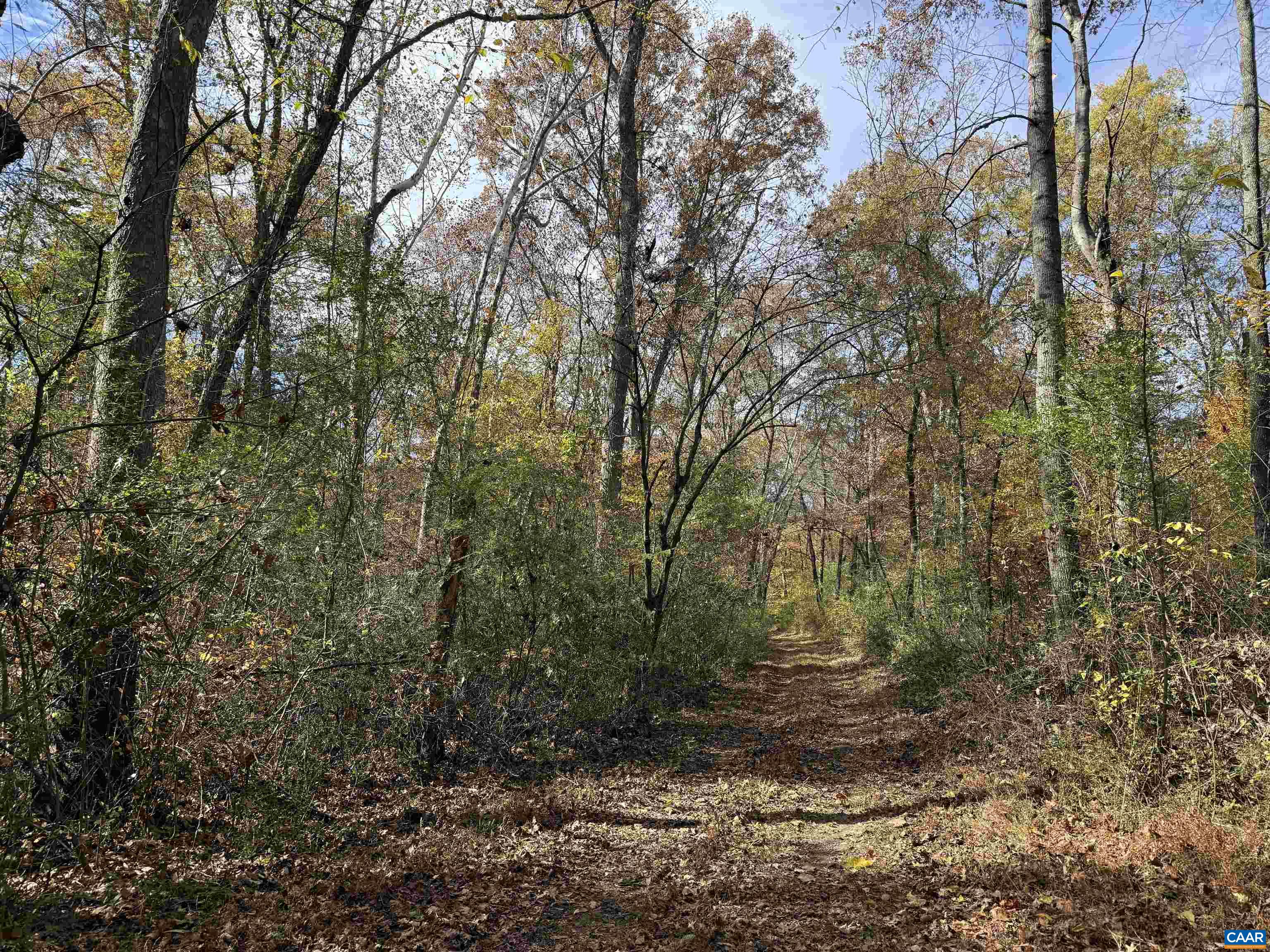 0 BRIDGEPORT RD, ARVONIA, Virginia 23004, ,Land,0 BRIDGEPORT RD,676804 MLS # 676804