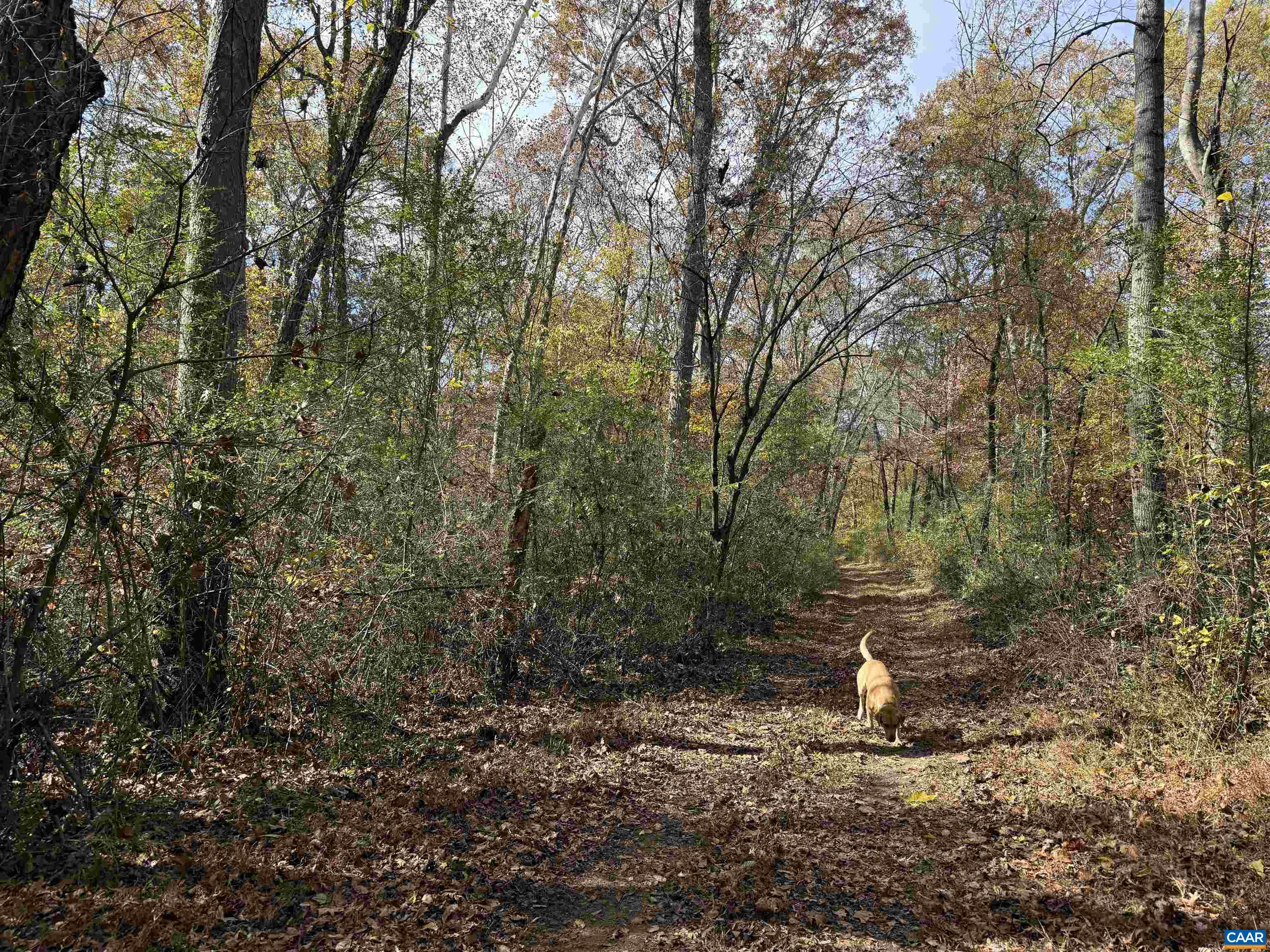 0 BRIDGEPORT RD, ARVONIA, Virginia 23004, ,Land,0 BRIDGEPORT RD,676804 MLS # 676804