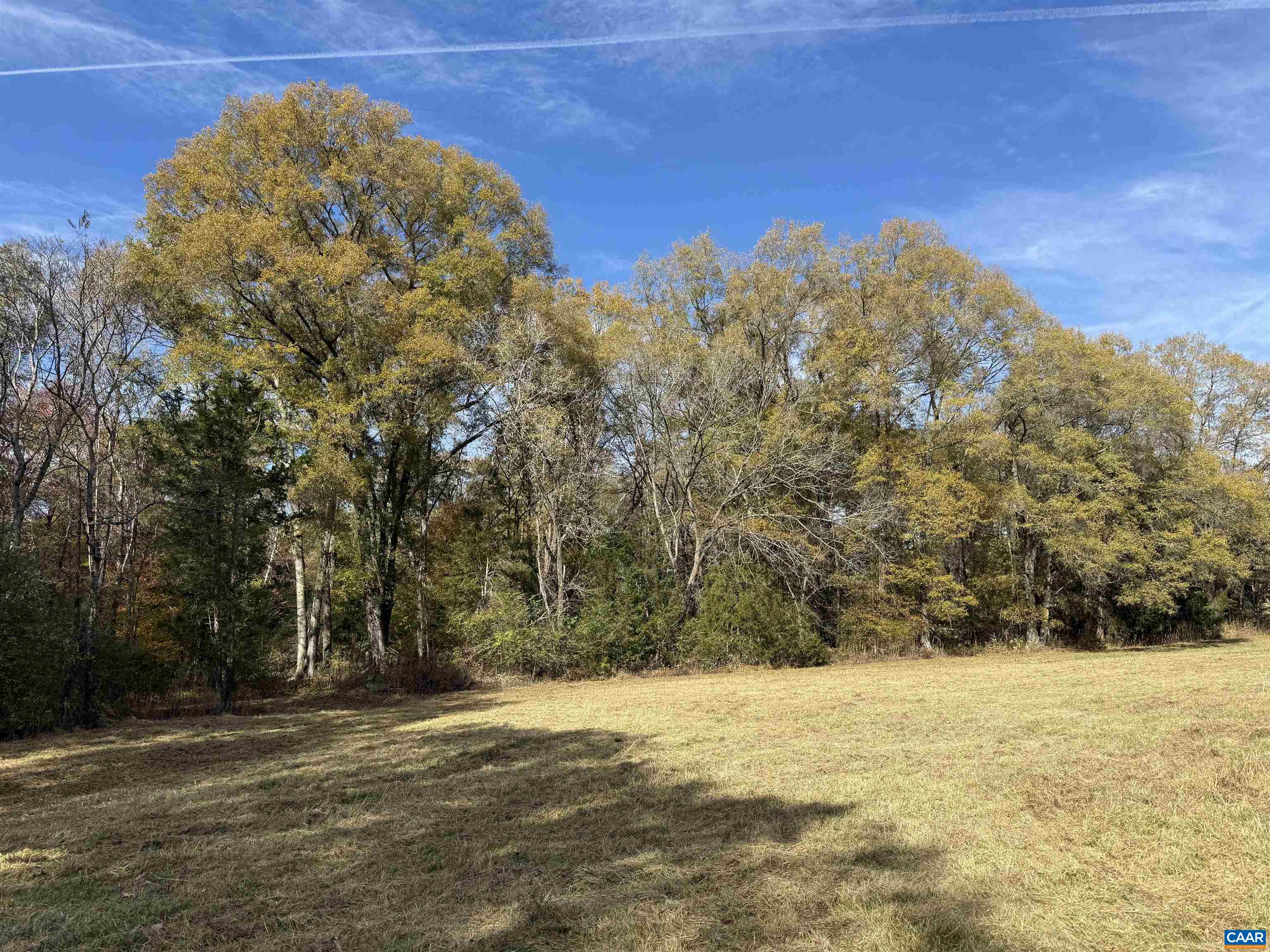 0 BRIDGEPORT RD, ARVONIA, Virginia 23004, ,Land,0 BRIDGEPORT RD,676804 MLS # 676804