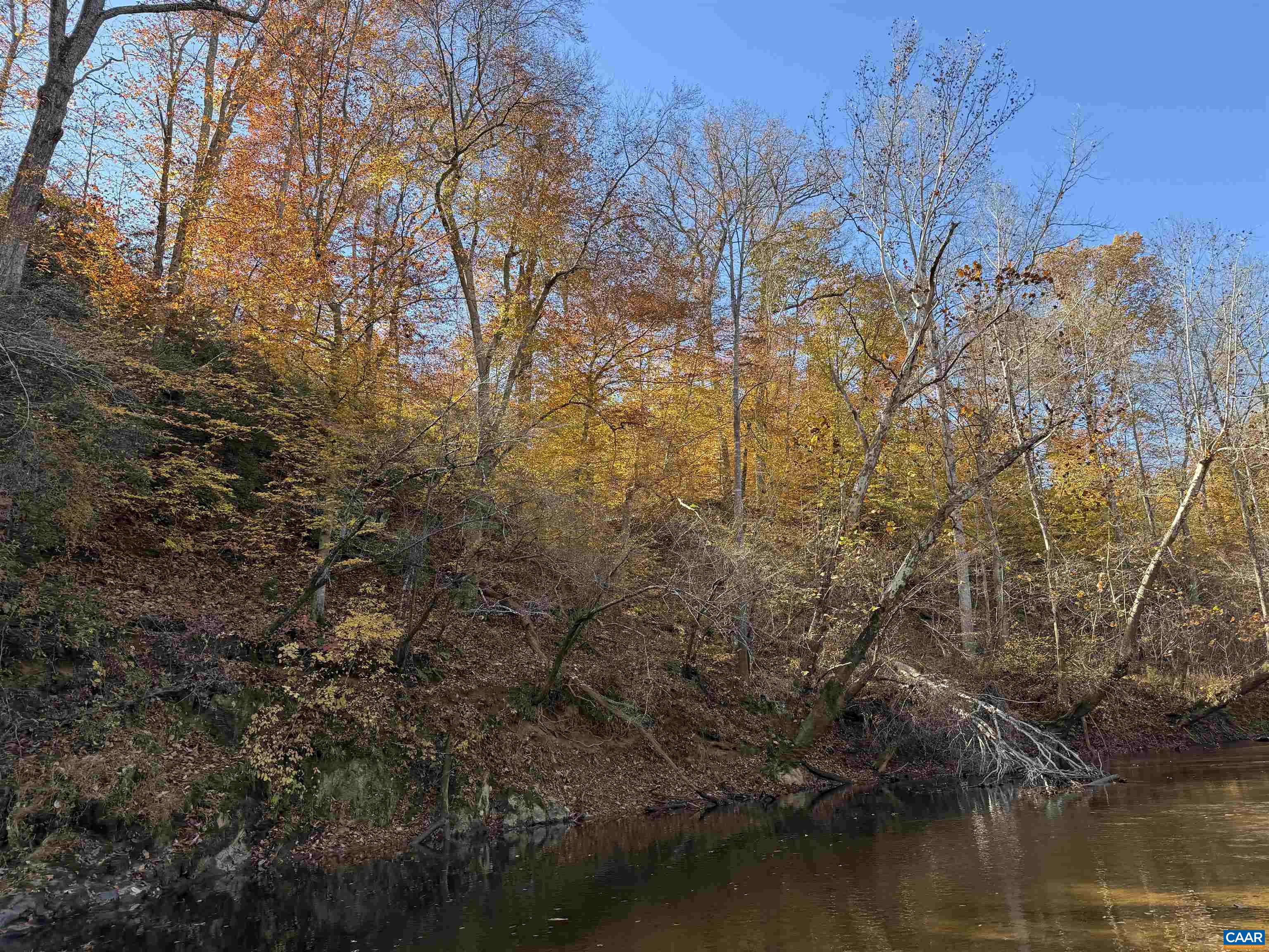 0 BRIDGEPORT RD, ARVONIA, Virginia 23004, ,Land,0 BRIDGEPORT RD,676804 MLS # 676804