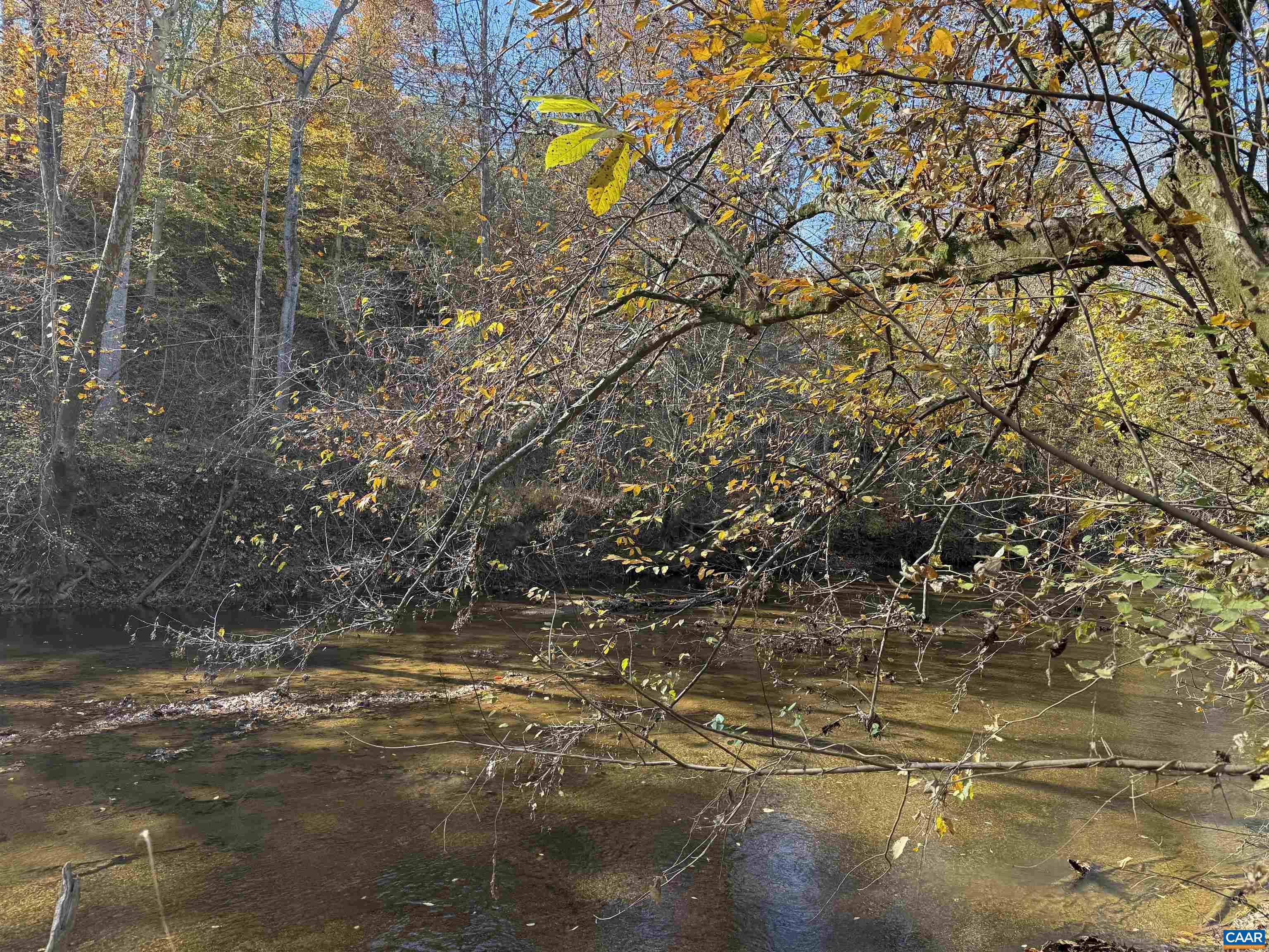 0 BRIDGEPORT RD, ARVONIA, Virginia 23004, ,Land,0 BRIDGEPORT RD,676804 MLS # 676804