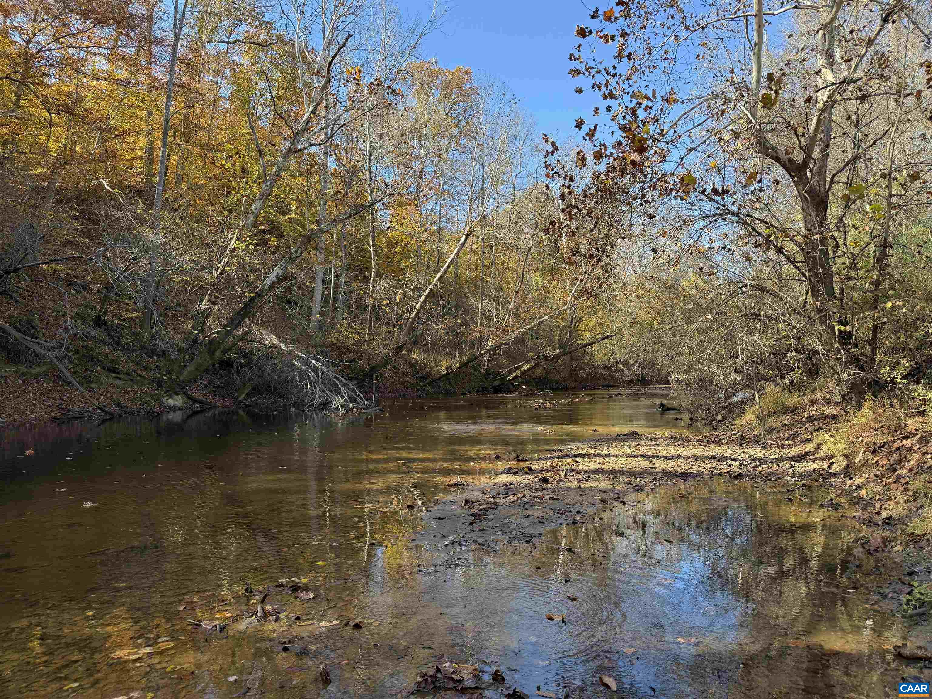 0 BRIDGEPORT RD, ARVONIA, Virginia 23004, ,Land,0 BRIDGEPORT RD,676804 MLS # 676804