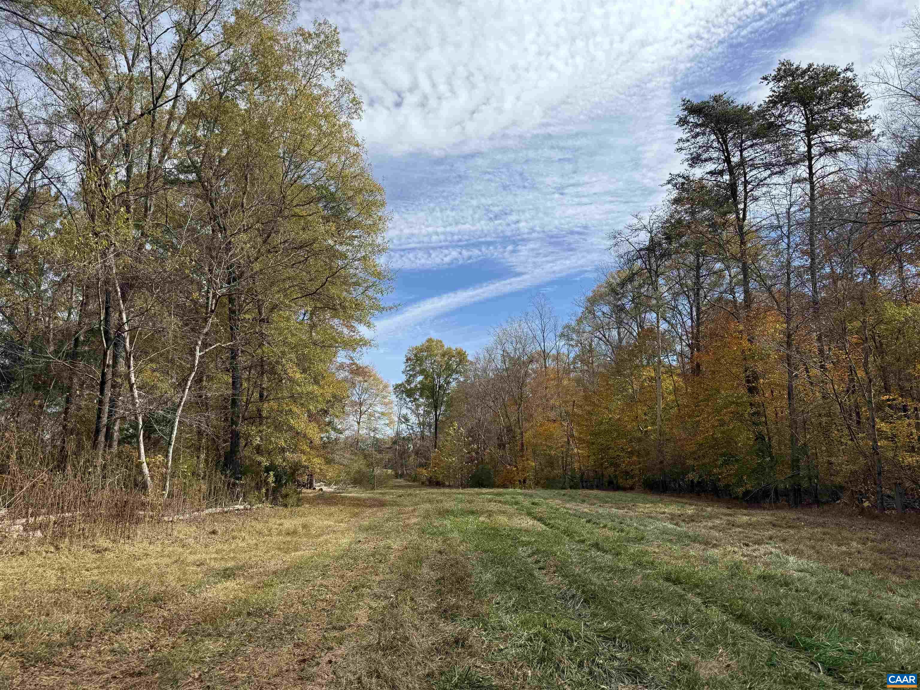 0 BRIDGEPORT RD, ARVONIA, Virginia 23004, ,Land,0 BRIDGEPORT RD,676804 MLS # 676804