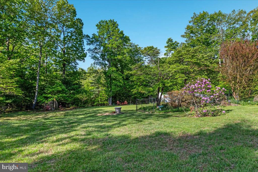 146 LIZZIE MILLS RD, CASTLETON, Virginia 22716, 3 Bedrooms Bedrooms, ,2 BathroomsBathrooms,Residential,146 LIZZIE MILLS RD,VARP2002580 MLS # VARP2002580