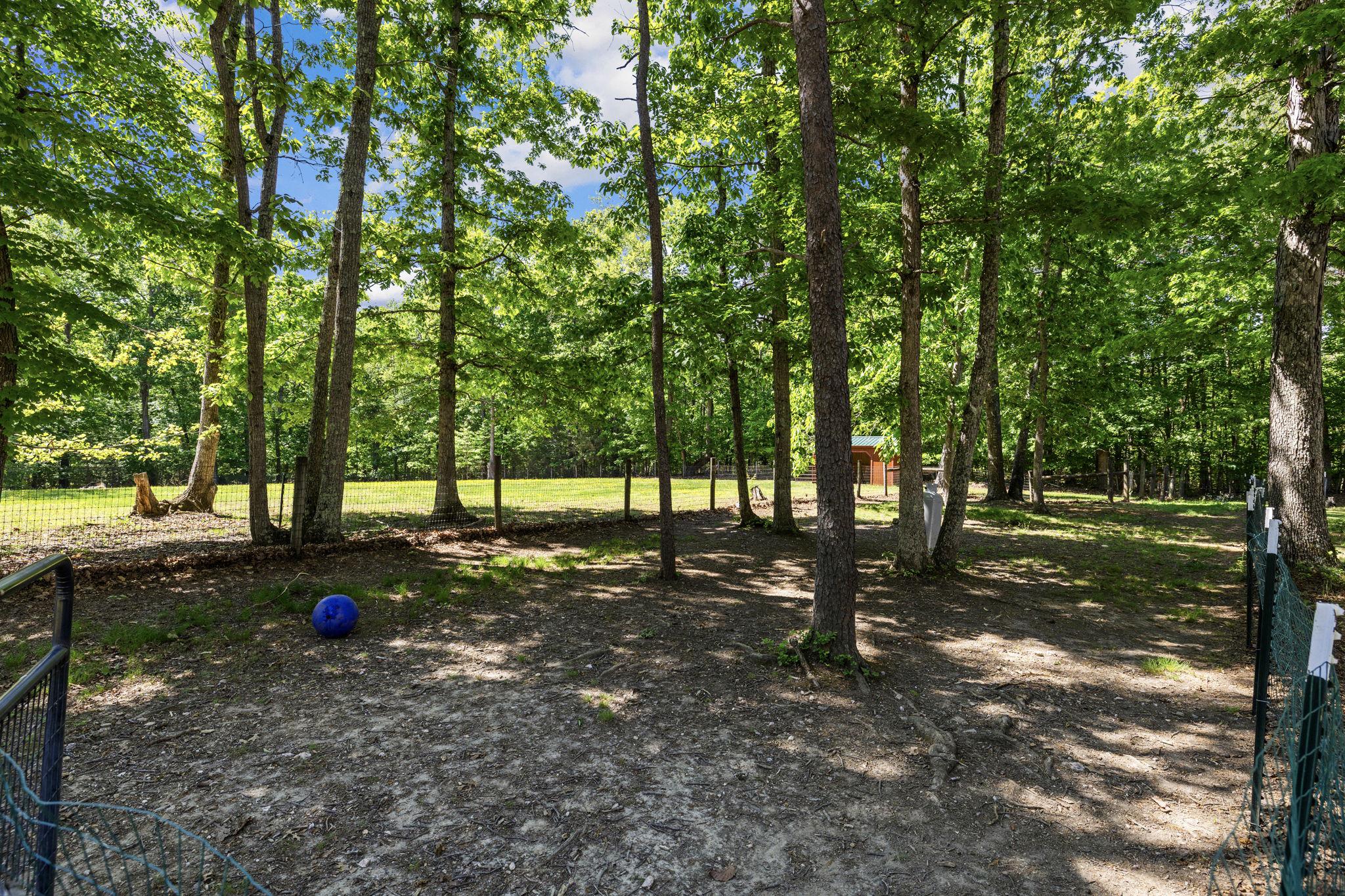 12467 HARBOR DR, ORANGE, Virginia 22960, 3 Bedrooms Bedrooms, ,2 BathroomsBathrooms,Residential,12467 HARBOR DR,VAOR2014050 MLS # VAOR2014050