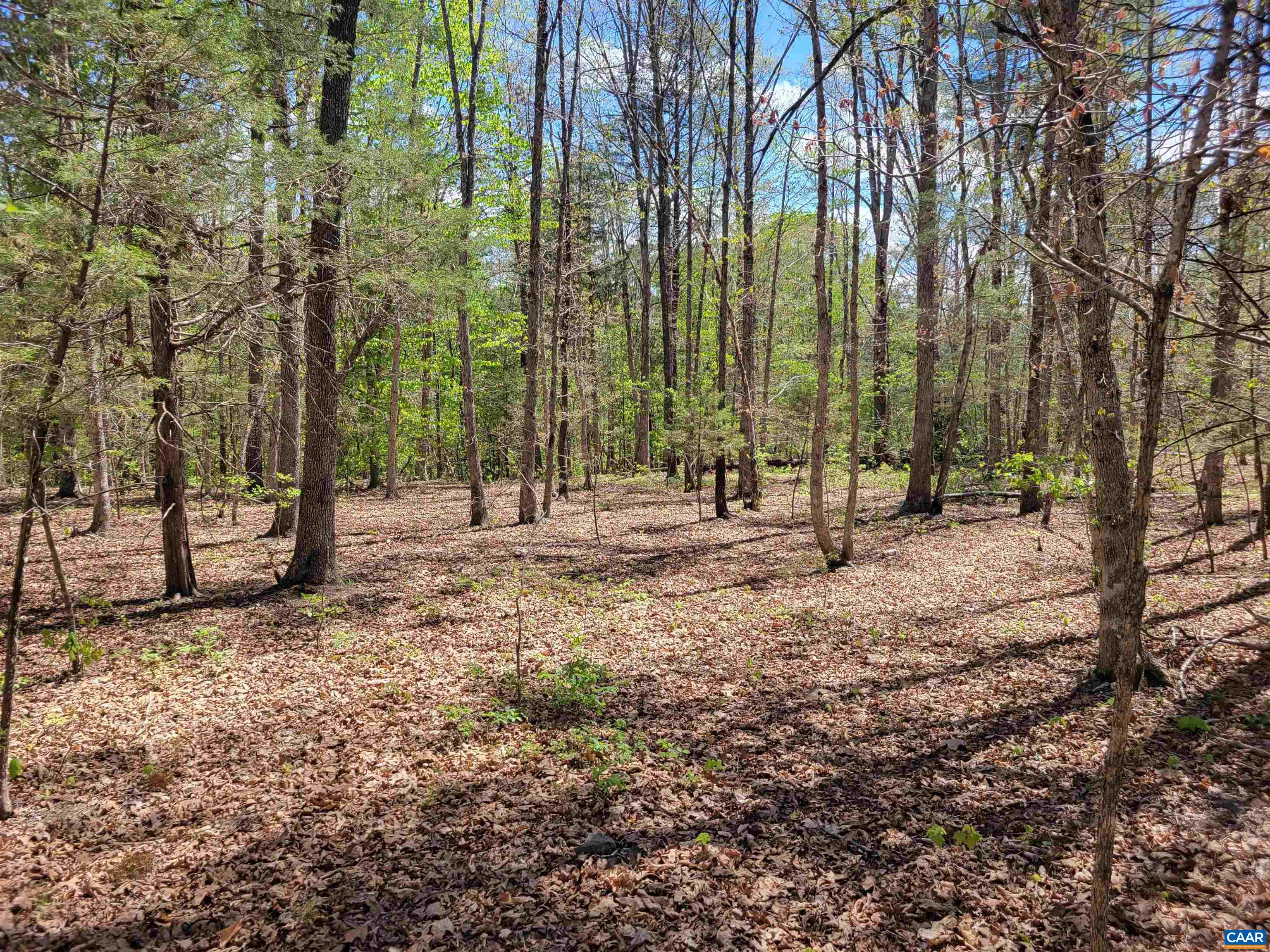 13.3 AC GLADE RD, SCHUYLER, Virginia 22969, ,Land,13.3 AC GLADE RD,676039 MLS # 676039