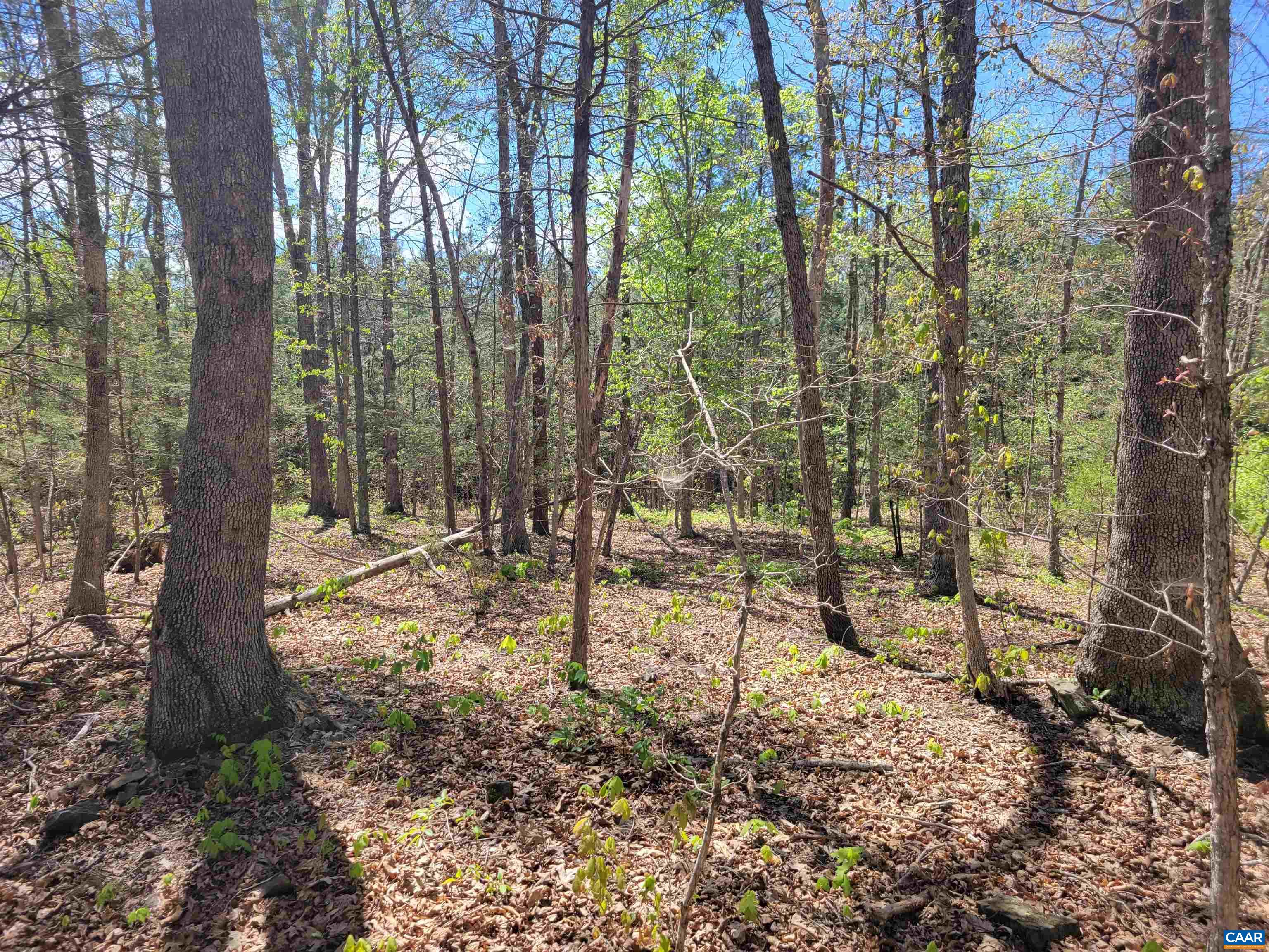 13.3 AC GLADE RD, SCHUYLER, Virginia 22969, ,Land,13.3 AC GLADE RD,676039 MLS # 676039