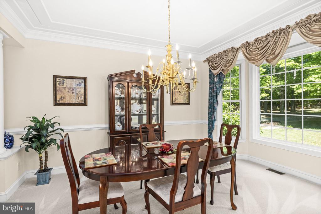 9504 TRENTHAM TRL, FREDERICKSBURG, Virginia 22407, 8 Bedrooms Bedrooms, ,5 BathroomsBathrooms,Residential,9504 TRENTHAM TRL,VASP2039424 MLS # VASP2039424