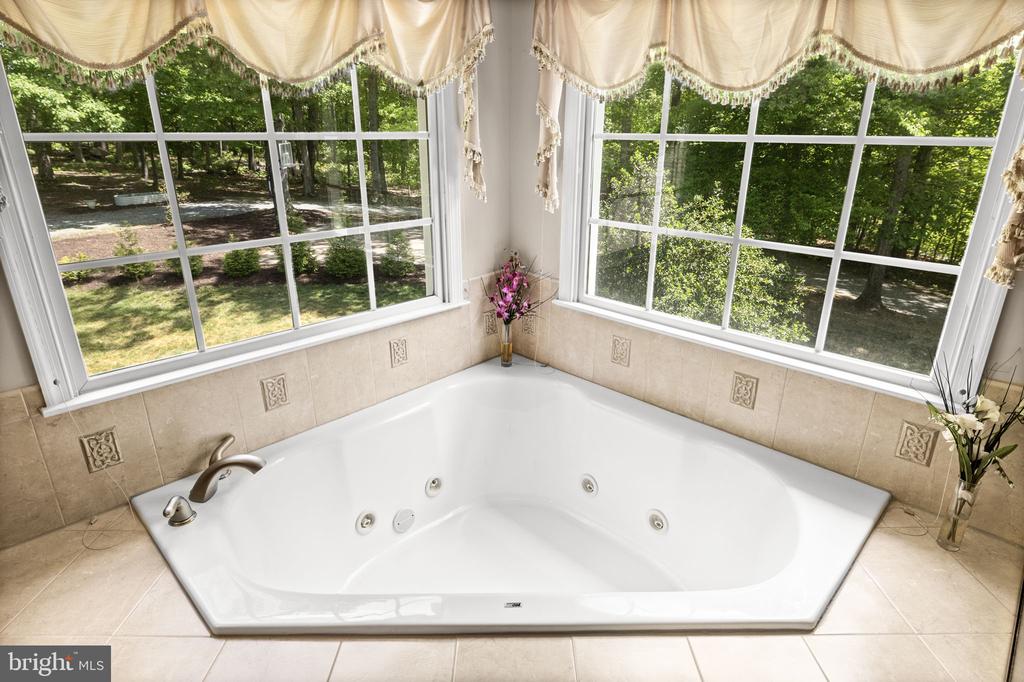 9504 TRENTHAM TRL, FREDERICKSBURG, Virginia 22407, 8 Bedrooms Bedrooms, ,5 BathroomsBathrooms,Residential,9504 TRENTHAM TRL,VASP2039424 MLS # VASP2039424