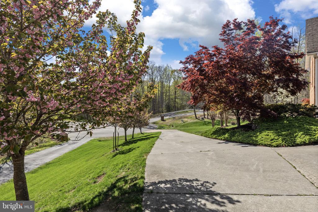 9504 TRENTHAM TRL, FREDERICKSBURG, Virginia 22407, 8 Bedrooms Bedrooms, ,5 BathroomsBathrooms,Residential,9504 TRENTHAM TRL,VASP2039424 MLS # VASP2039424