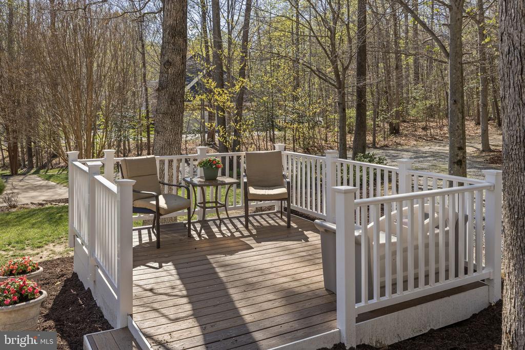 9504 TRENTHAM TRL, FREDERICKSBURG, Virginia 22407, 8 Bedrooms Bedrooms, ,5 BathroomsBathrooms,Residential,9504 TRENTHAM TRL,VASP2039424 MLS # VASP2039424