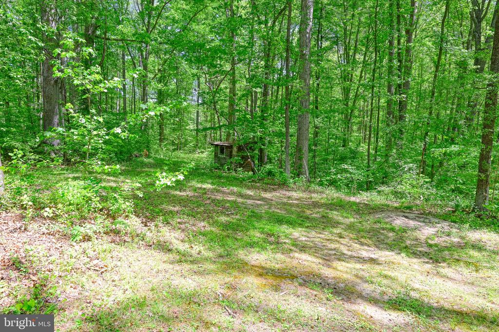 14584 CROSS COUNTY RD, MINERAL, Virginia 23117, 2 Bedrooms Bedrooms, ,1 BathroomBathrooms,Residential,14584 CROSS COUNTY RD,VALA2009826 MLS # VALA2009826