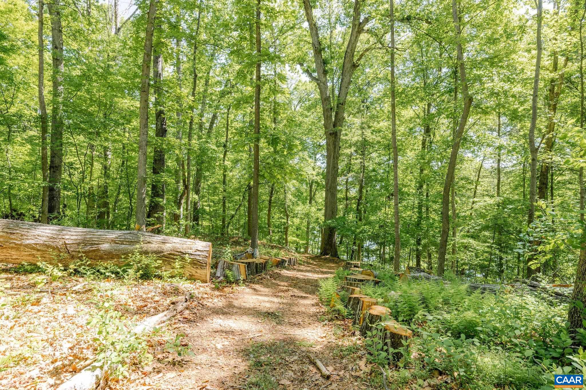 755 LOCHRIDGE LN, EARLYSVILLE, Virginia 22936, 5 Bedrooms Bedrooms, ,4 BathroomsBathrooms,Residential,Spacious, remodeled 5 BR home- private retreat on ,755 LOCHRIDGE LN,676713 MLS # 676713