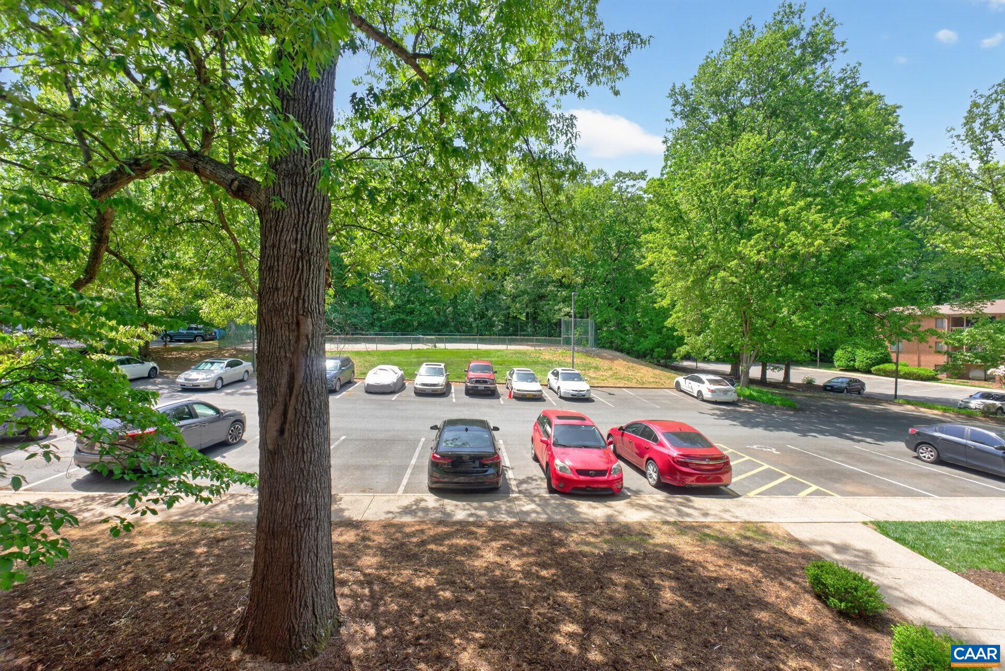 103 TURTLE CREEK RD, CHARLOTTESVILLE, Virginia 22901, 2 Bedrooms Bedrooms, ,2 BathroomsBathrooms,Residential,103 TURTLE CREEK RD,676851 MLS # 676851
