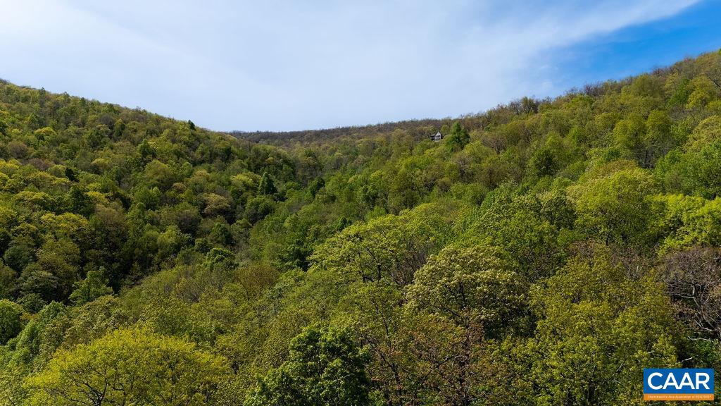 2242 LAUREL SPRINGS DR, WINTERGREEN RESORT, Virginia 22967, ,Land,Laurel Springs II C1 (Previously Lots C & D), ,2242 LAUREL SPRINGS DR,676860 MLS # 676860
