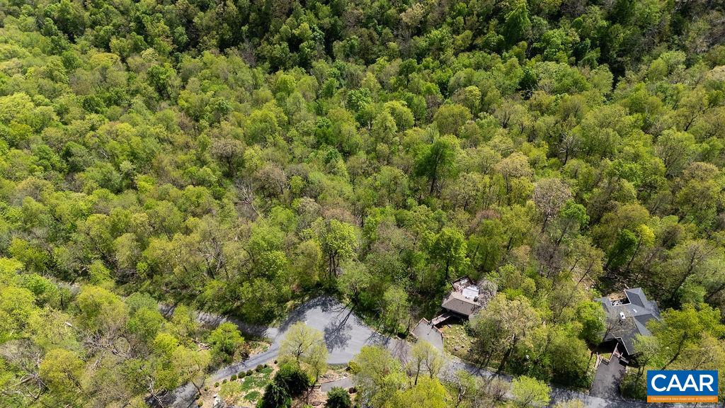 2242 LAUREL SPRINGS DR, WINTERGREEN RESORT, Virginia 22967, ,Land,Laurel Springs II C1 (Previously Lots C & D), ,2242 LAUREL SPRINGS DR,676860 MLS # 676860