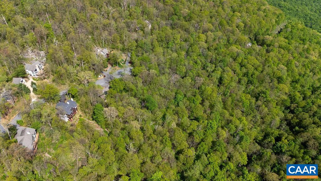 2242 LAUREL SPRINGS DR, WINTERGREEN RESORT, Virginia 22967, ,Land,Laurel Springs II C1 (Previously Lots C & D), ,2242 LAUREL SPRINGS DR,676860 MLS # 676860