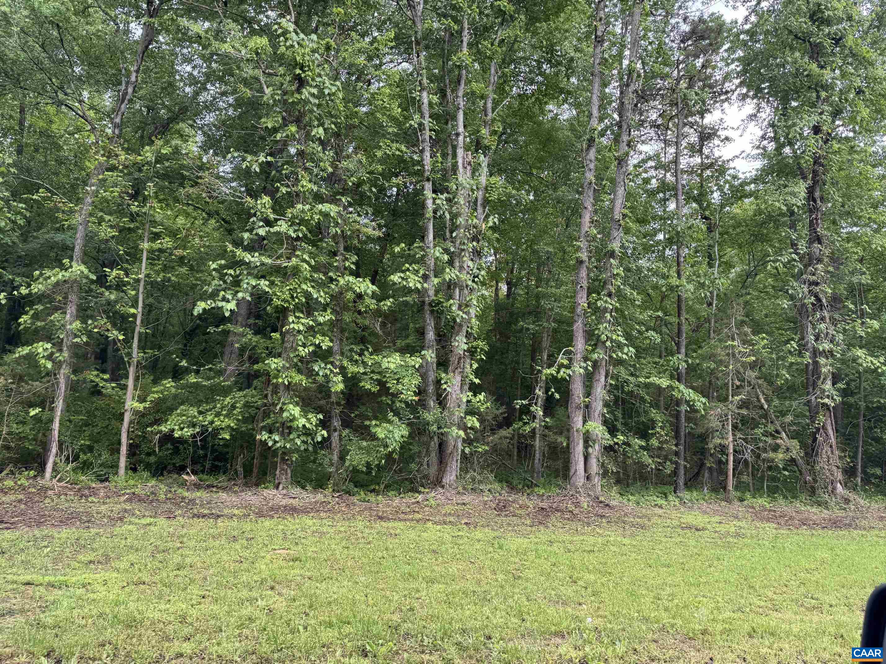 0 W JACK JOUETT RD, ZION CROSSROADS, Virginia 22942, ,Land,0 W JACK JOUETT RD,676863 MLS # 676863