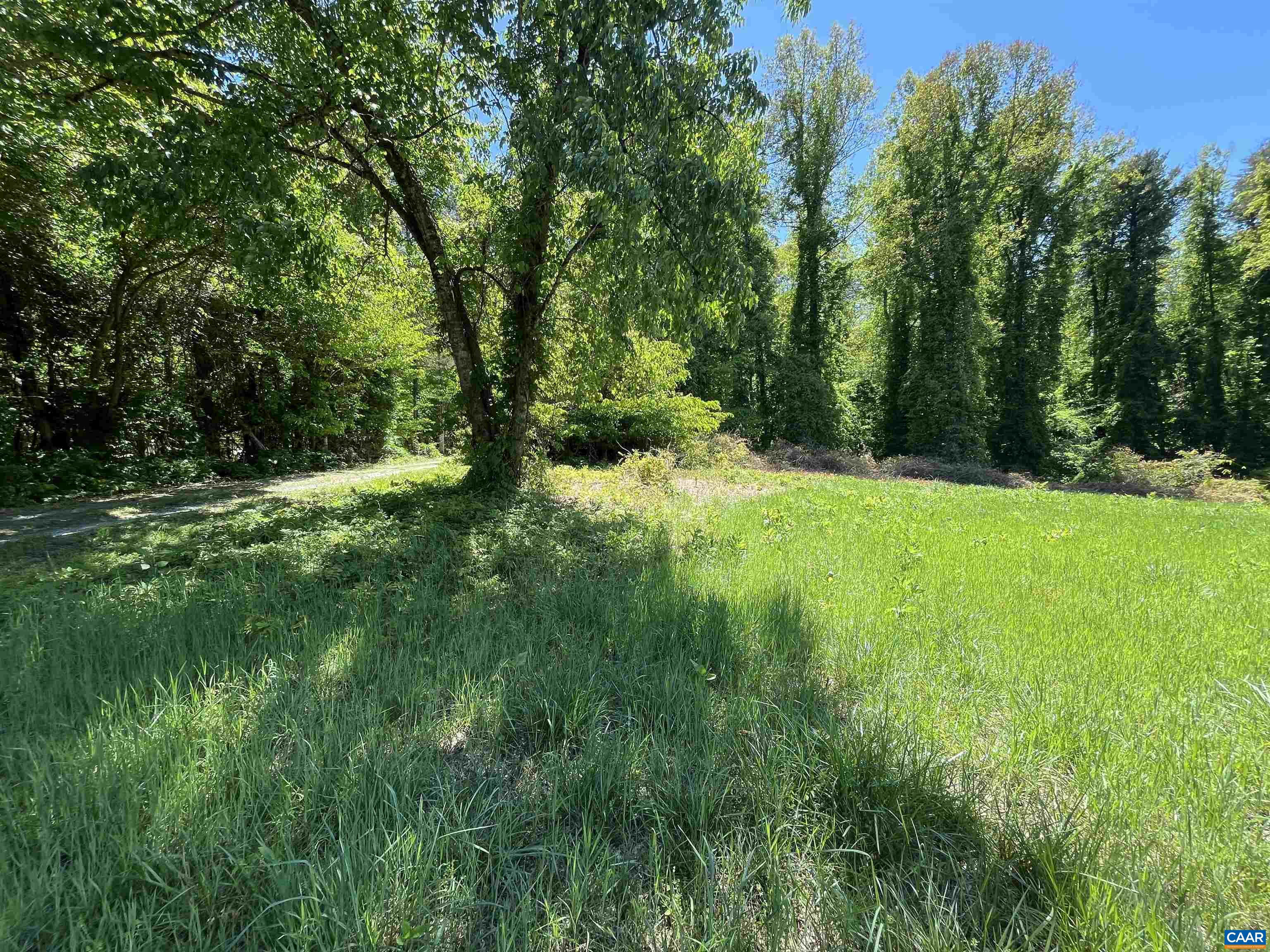 GILBERT STATION RD, BARBOURSVILLE, Virginia 22923, ,Land,GILBERT STATION RD,676869 MLS # 676869