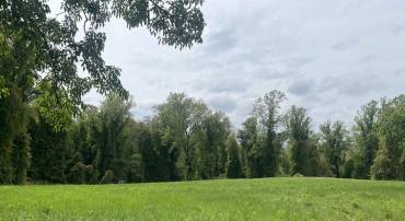 GILBERT STATION RD, BARBOURSVILLE, Virginia 22923, ,Land,GILBERT STATION RD,676869 MLS # 676869