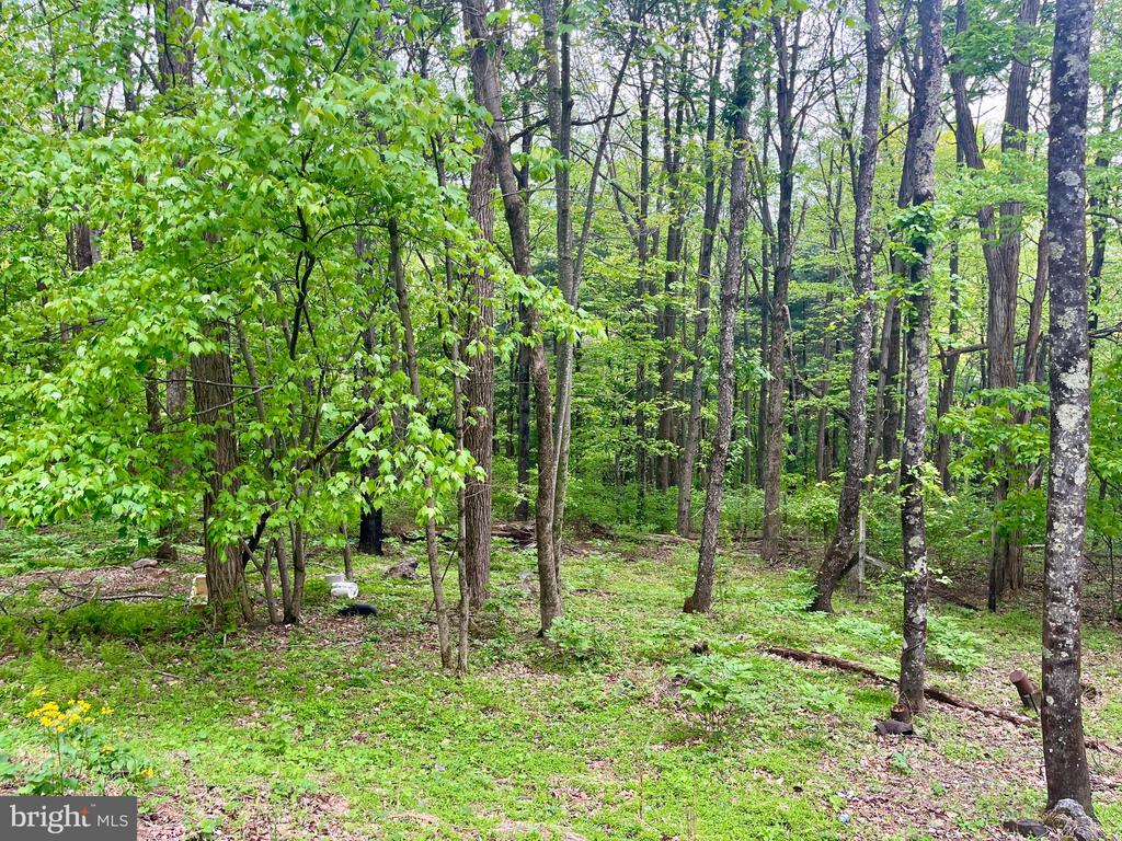536 CIRCLE DR, STANLEY, Virginia 22851, 2 Bedrooms Bedrooms, ,1 BathroomBathrooms,Residential,536 CIRCLE DR,VAPA2006406 MLS # VAPA2006406