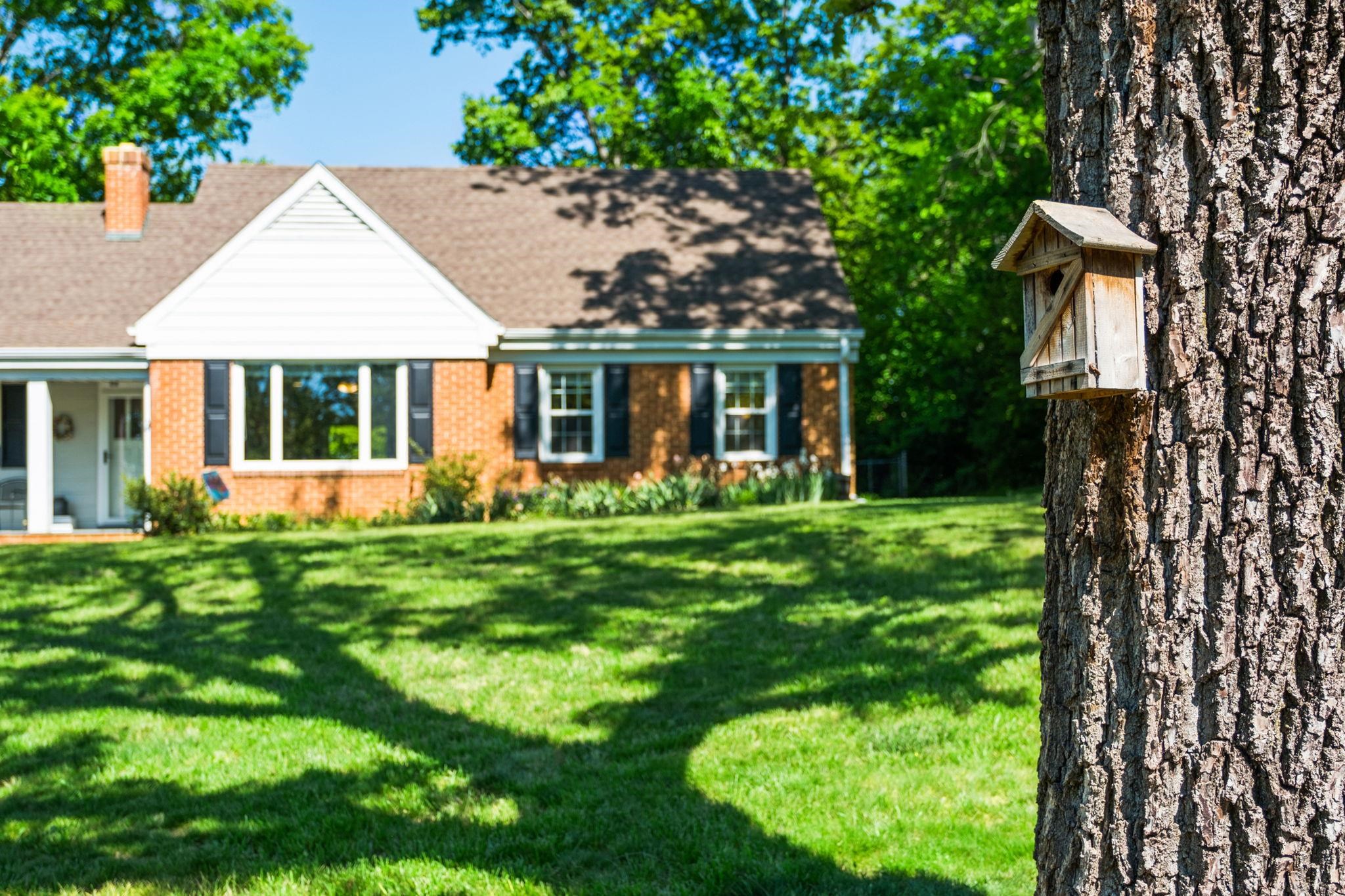 446 MOUNTAIN VIEW DR, STAUNTON, Virginia 24401, 3 Bedrooms Bedrooms, ,2 BathroomsBathrooms,Residential,446 MOUNTAIN VIEW DR,676857 MLS # 676857