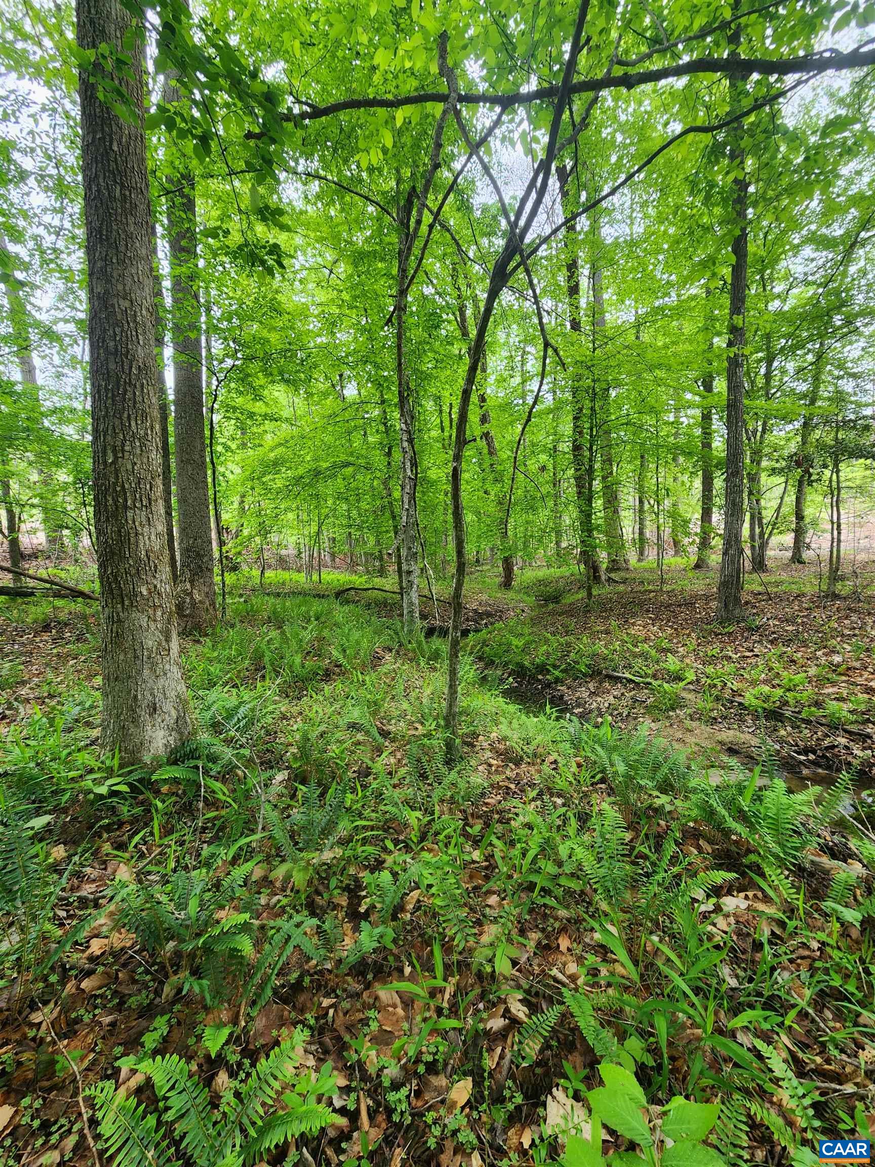 295 HICKORY HOLLOW LN, FORK UNION, Virginia 23022, 3 Bedrooms Bedrooms, ,2 BathroomsBathrooms,Residential,295 HICKORY HOLLOW LN,676861 MLS # 676861