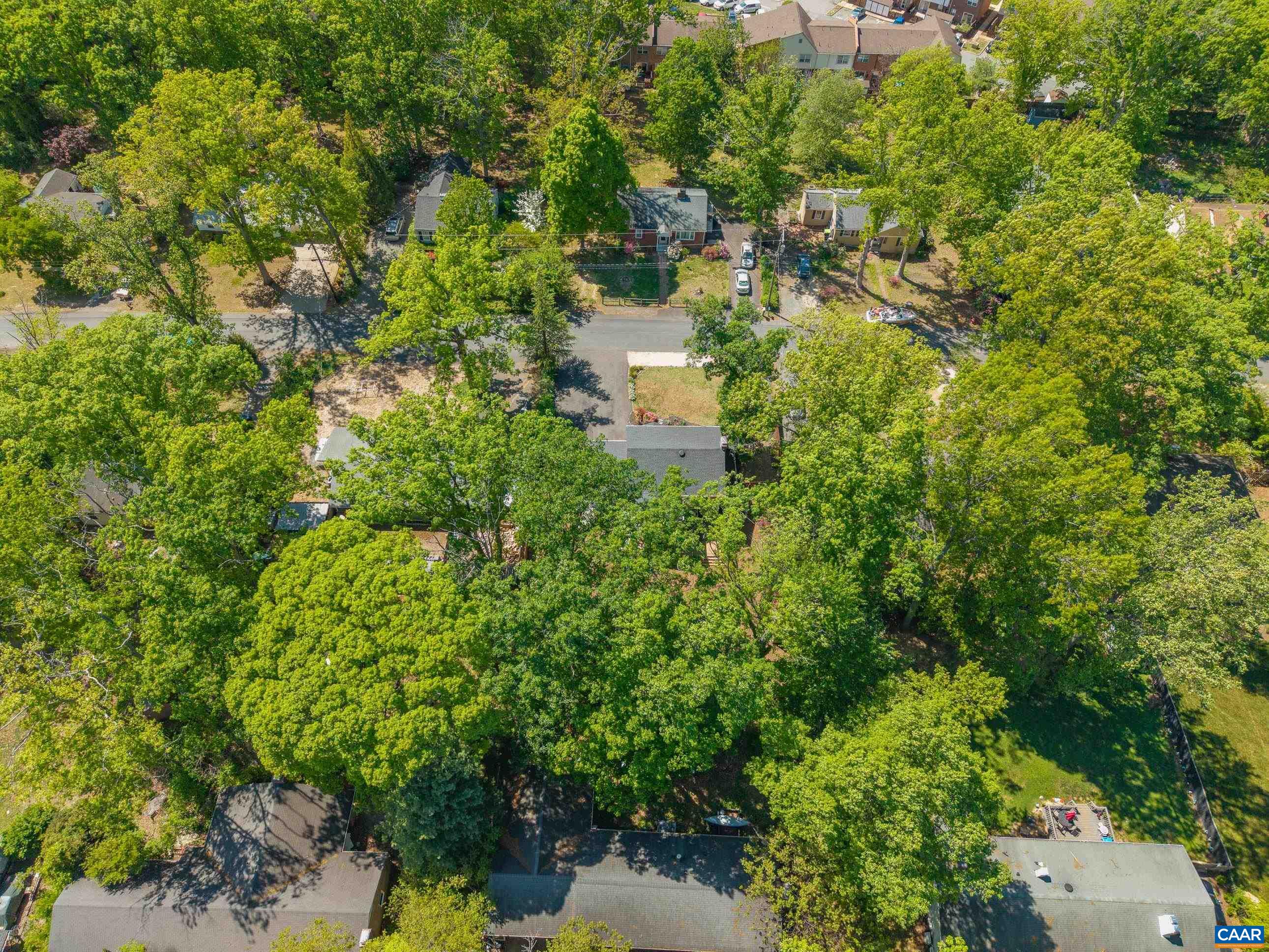 134 W PARK DR, CHARLOTTESVILLE, Virginia 22901, 5 Bedrooms Bedrooms, ,3 BathroomsBathrooms,Residential,134 W PARK DR,676866 MLS # 676866