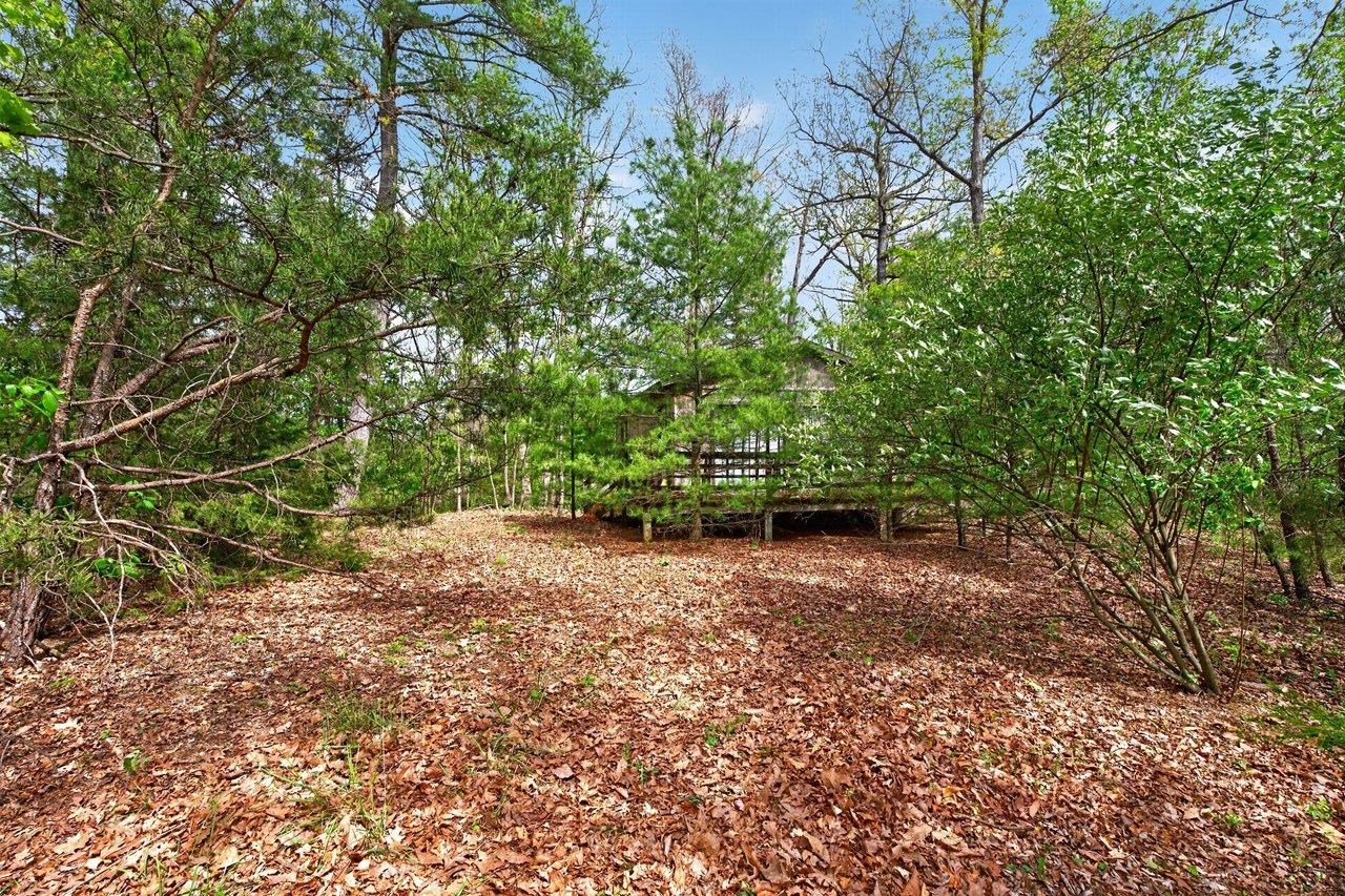 17163 STARSTONE DR, BROADWAY, Virginia 22815, 2 Bedrooms Bedrooms, ,1 BathroomBathrooms,Residential,17163 STARSTONE DR,676868 MLS # 676868